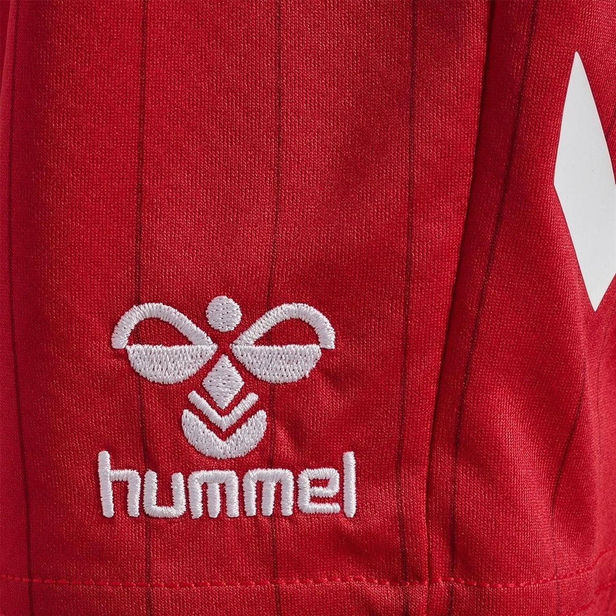 Hummel Denmark International Football Shorts