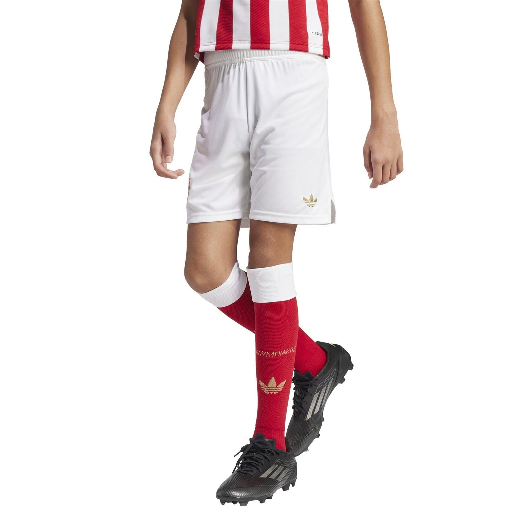 adidas Official 100 International Licensed Football Shorts