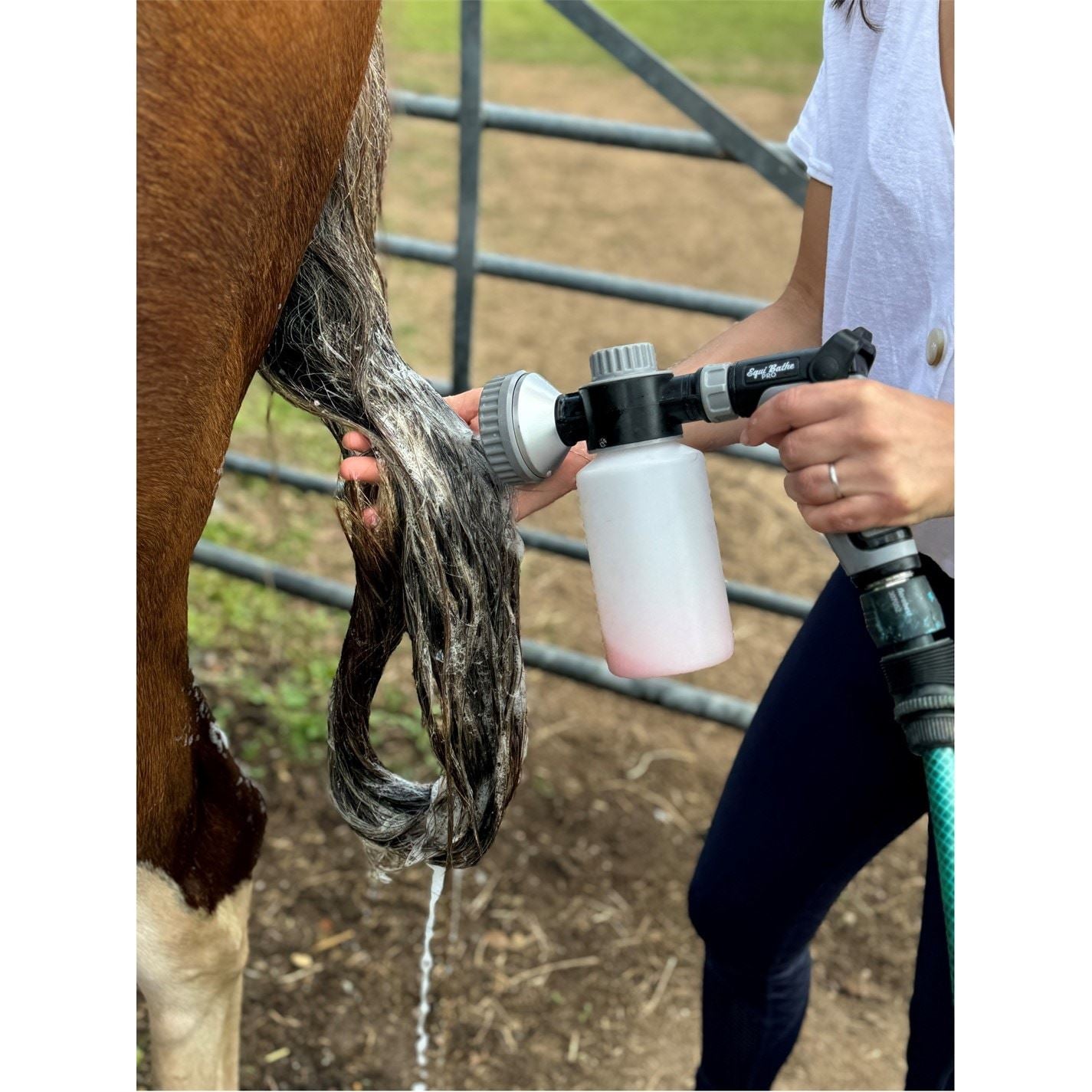 Parallax Equi Bathe Pro