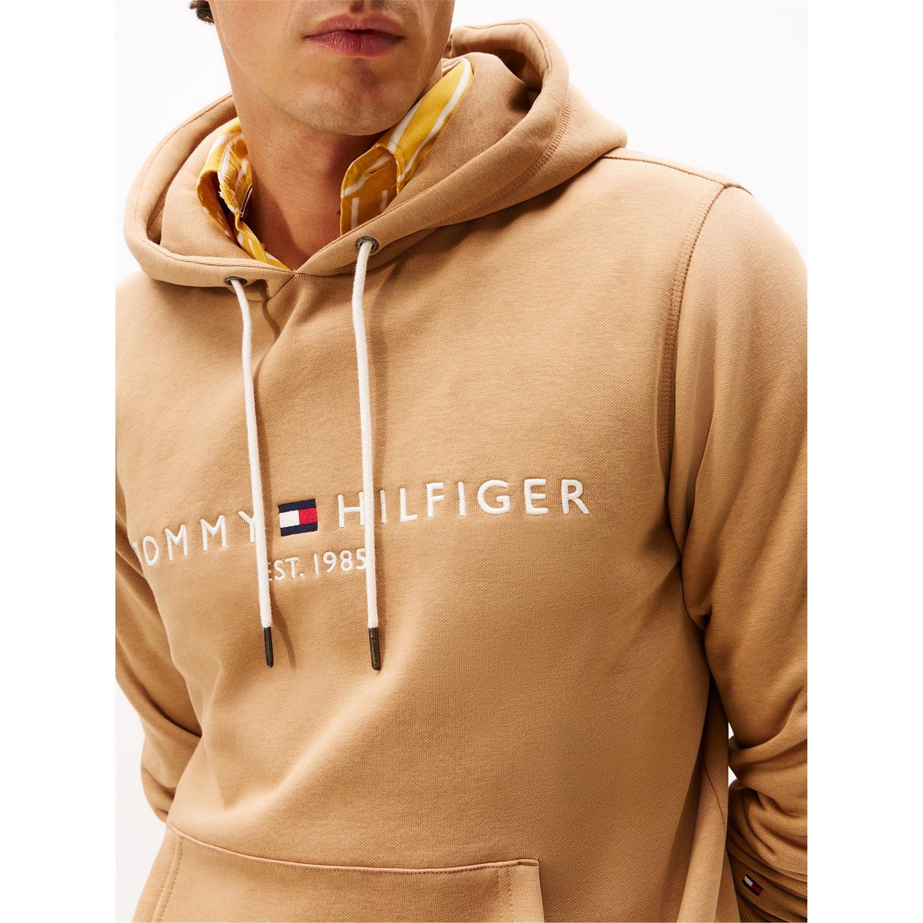 Tommy Hilfiger Logo Hoodie