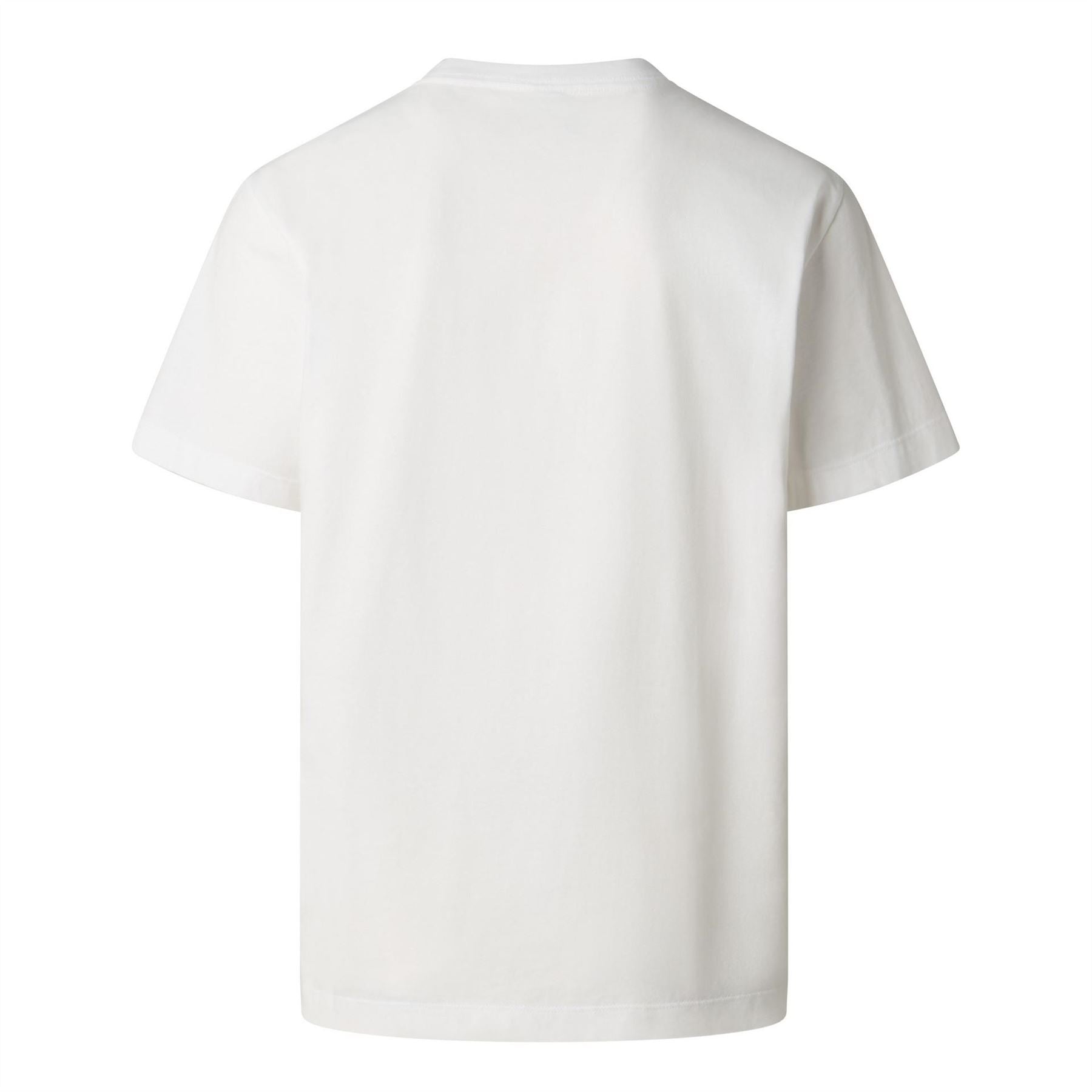 The North Face Mens Ess Central Logo Tee