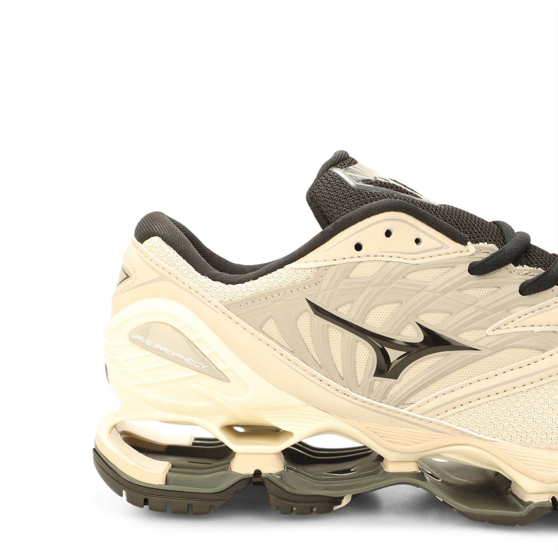 Mizuno Wave Prophecy