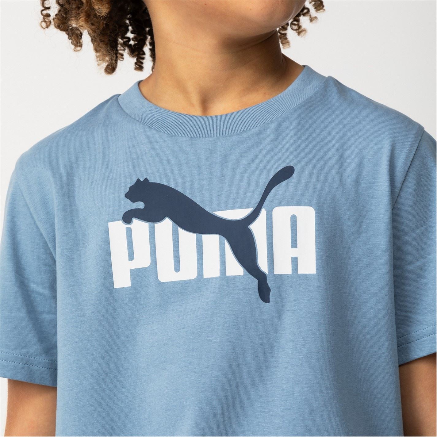 Puma Essentials Graphic Regular Fit T Shirt