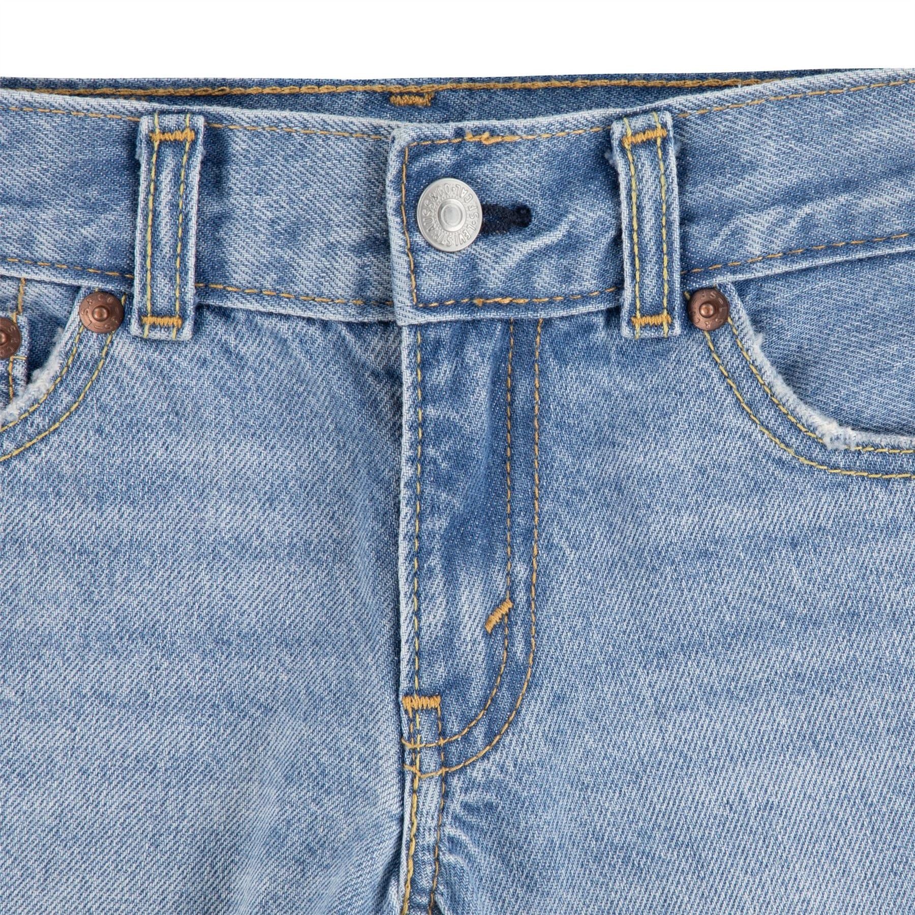 Levis Skate Shorts Jn62
