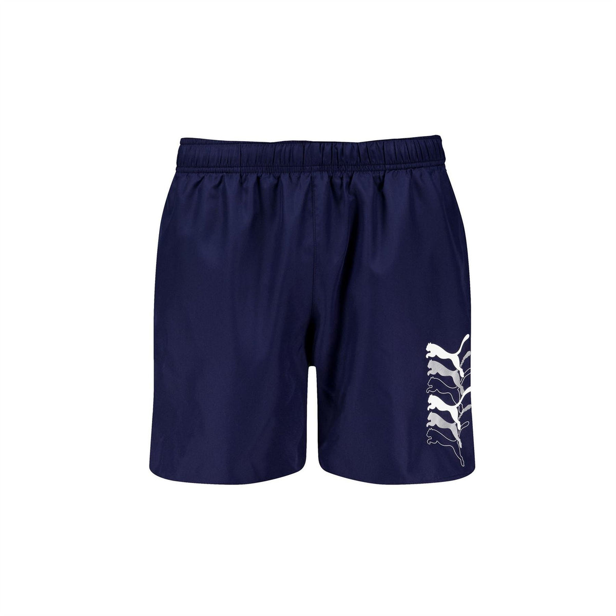 Puma Swim Men Cats M