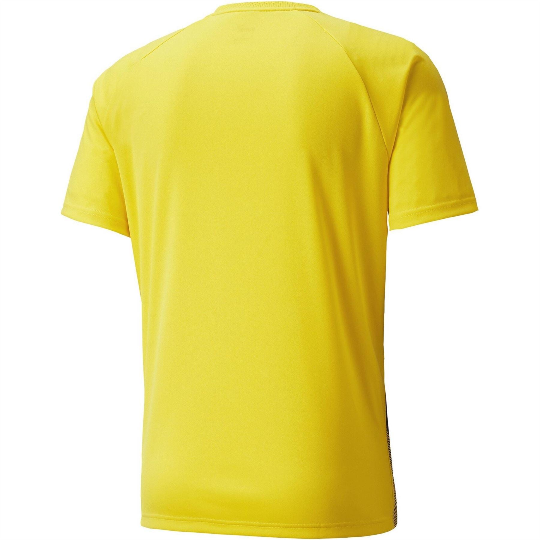 Puma Mens Teamliga Striped Jersey T-Shirt