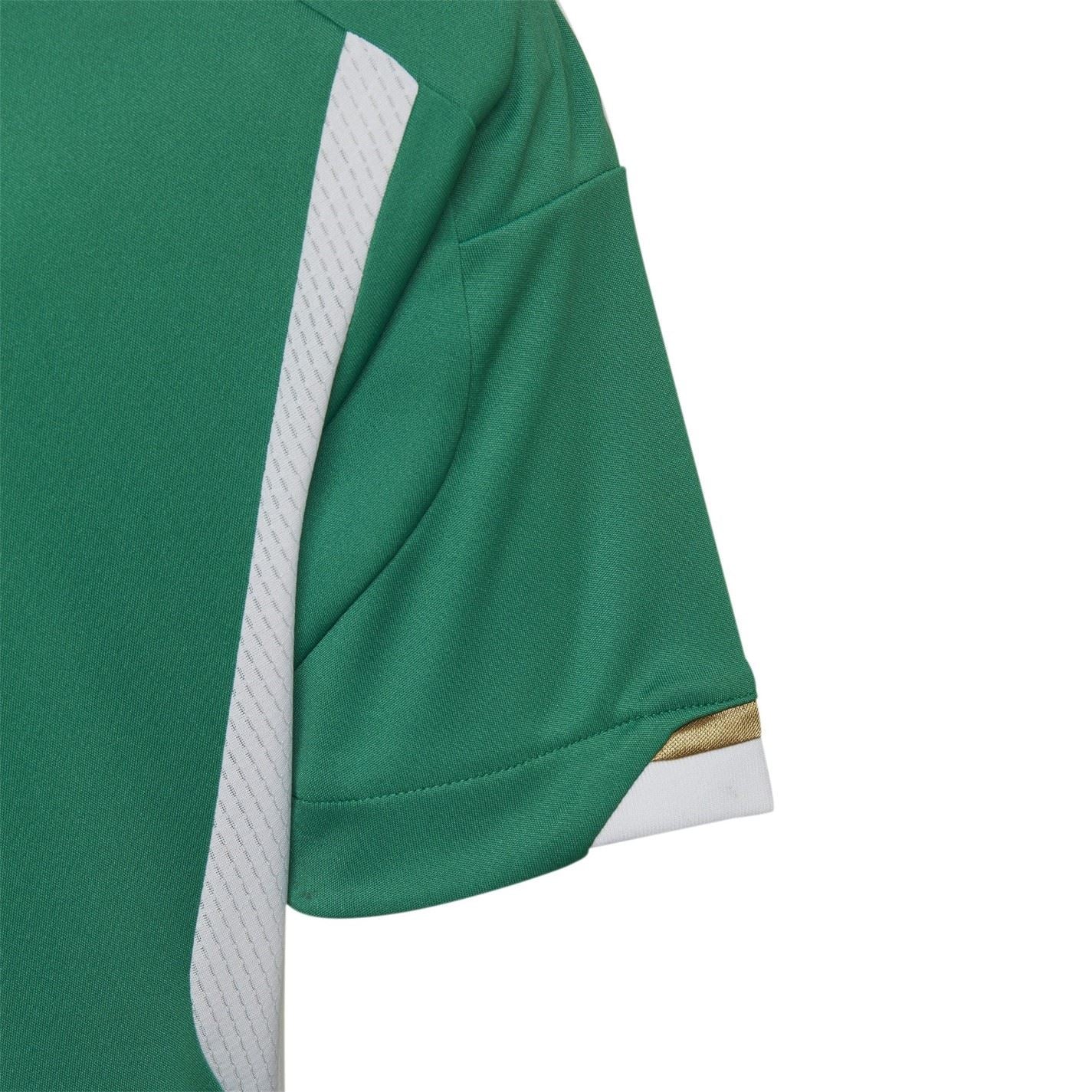 adidas Algeria Away Kit 2022 Junior