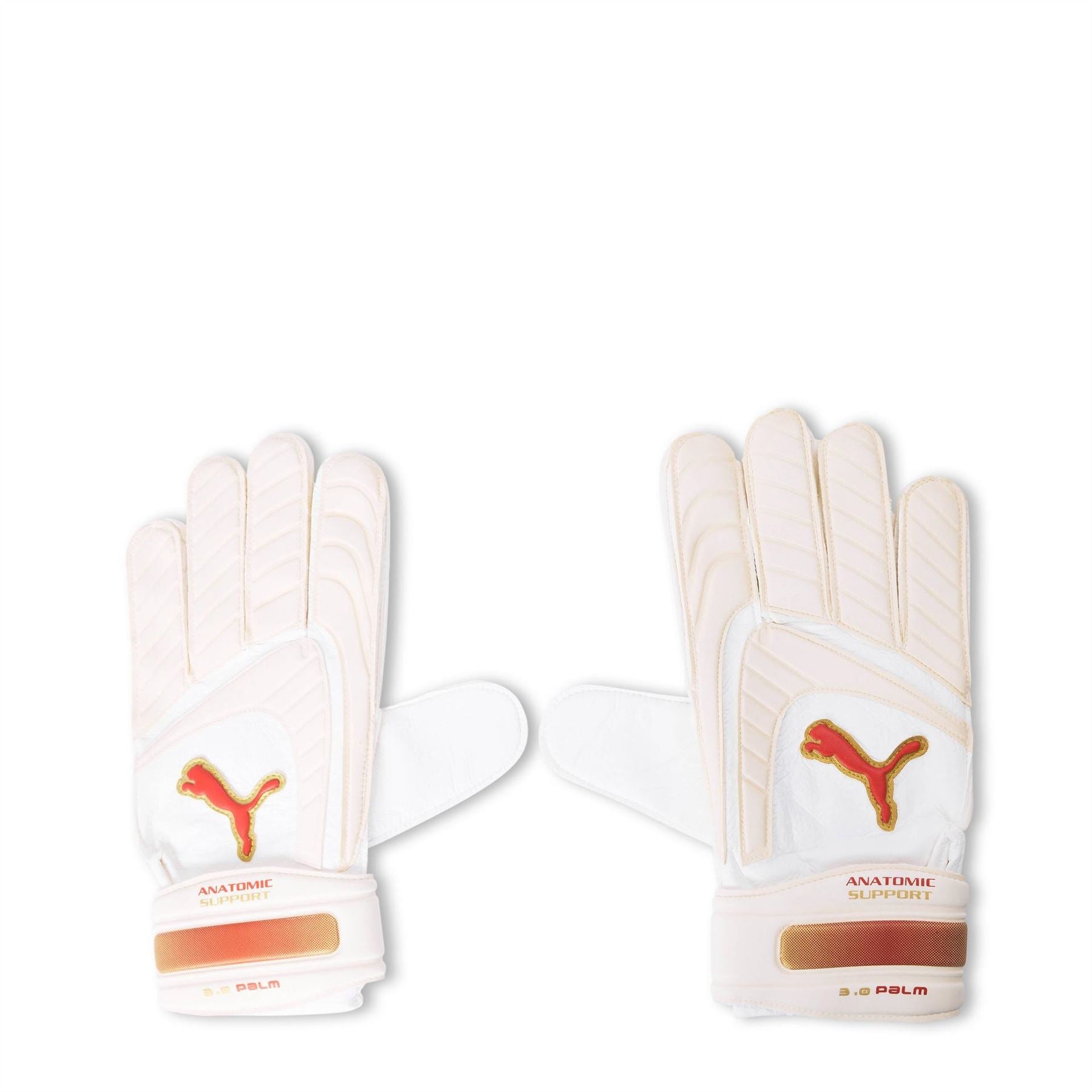 Puma Mestre (gk) Gloves Unisex Adults