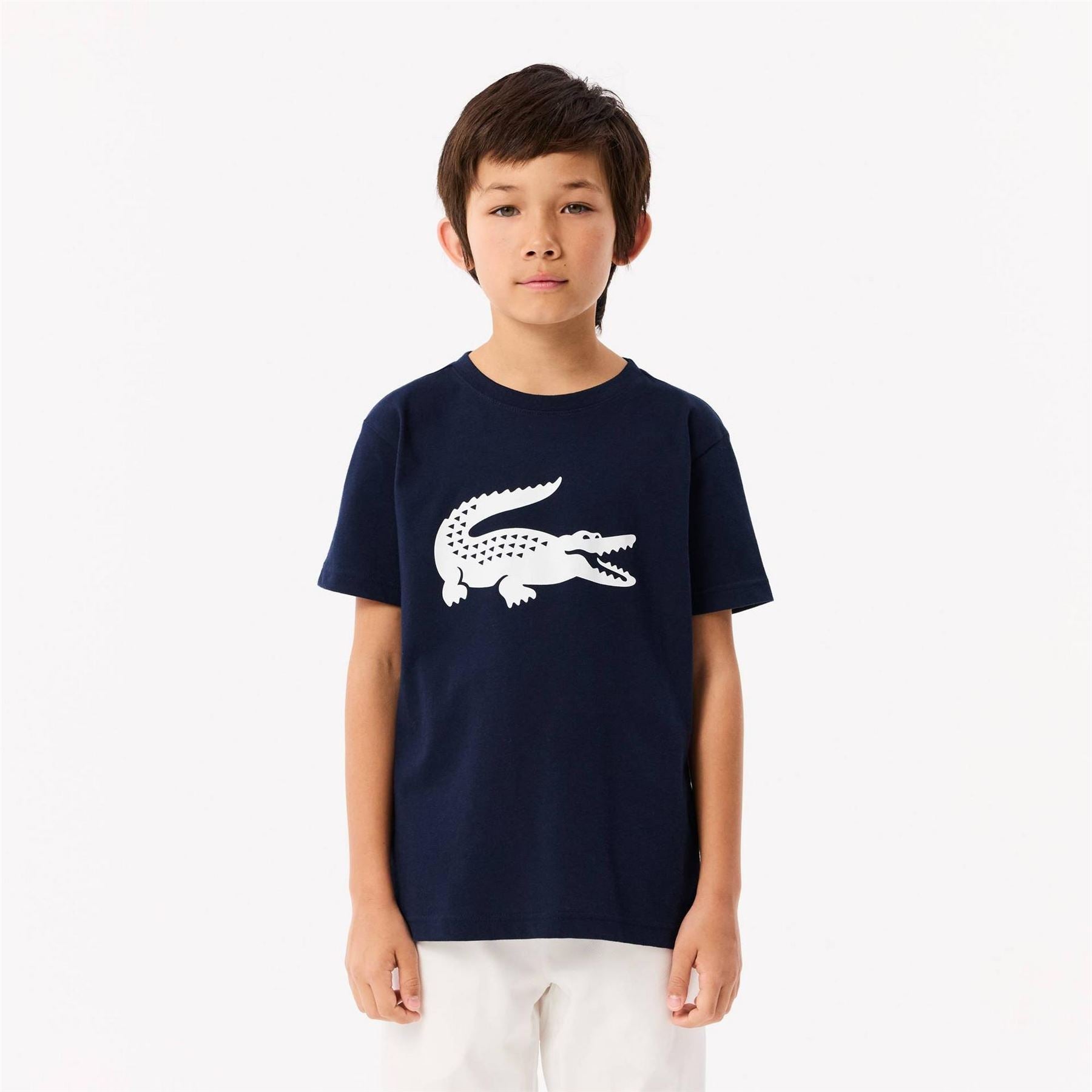 Lacoste Large Logo Cotton Short Sleeve T-Shirt
