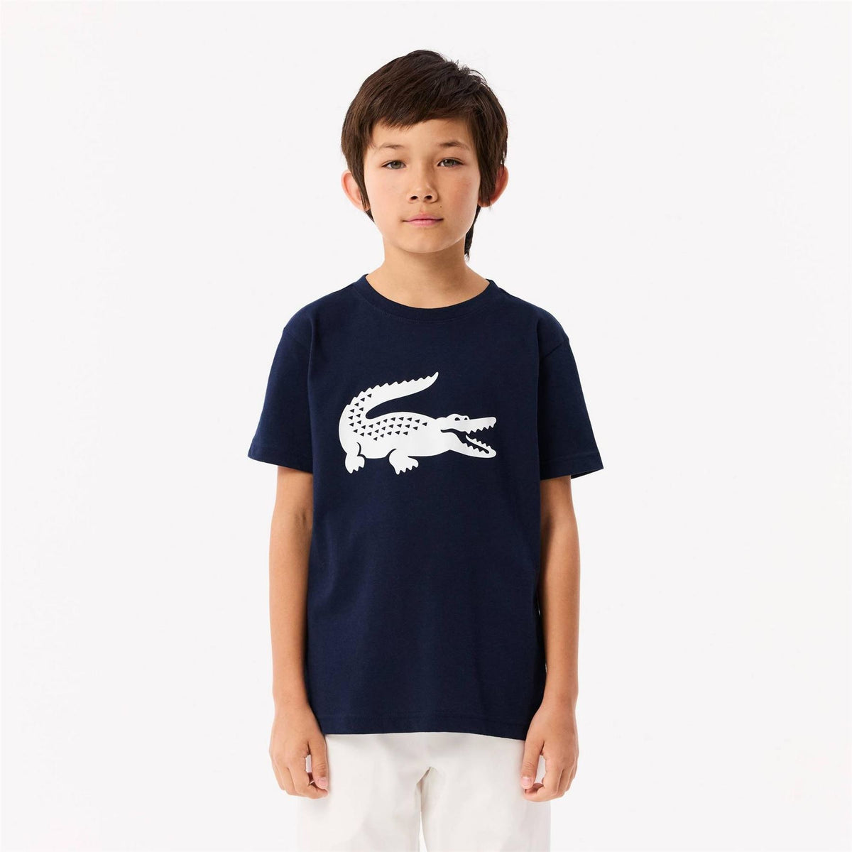 Lacoste Large Logo Cotton Short Sleeve T-Shirt