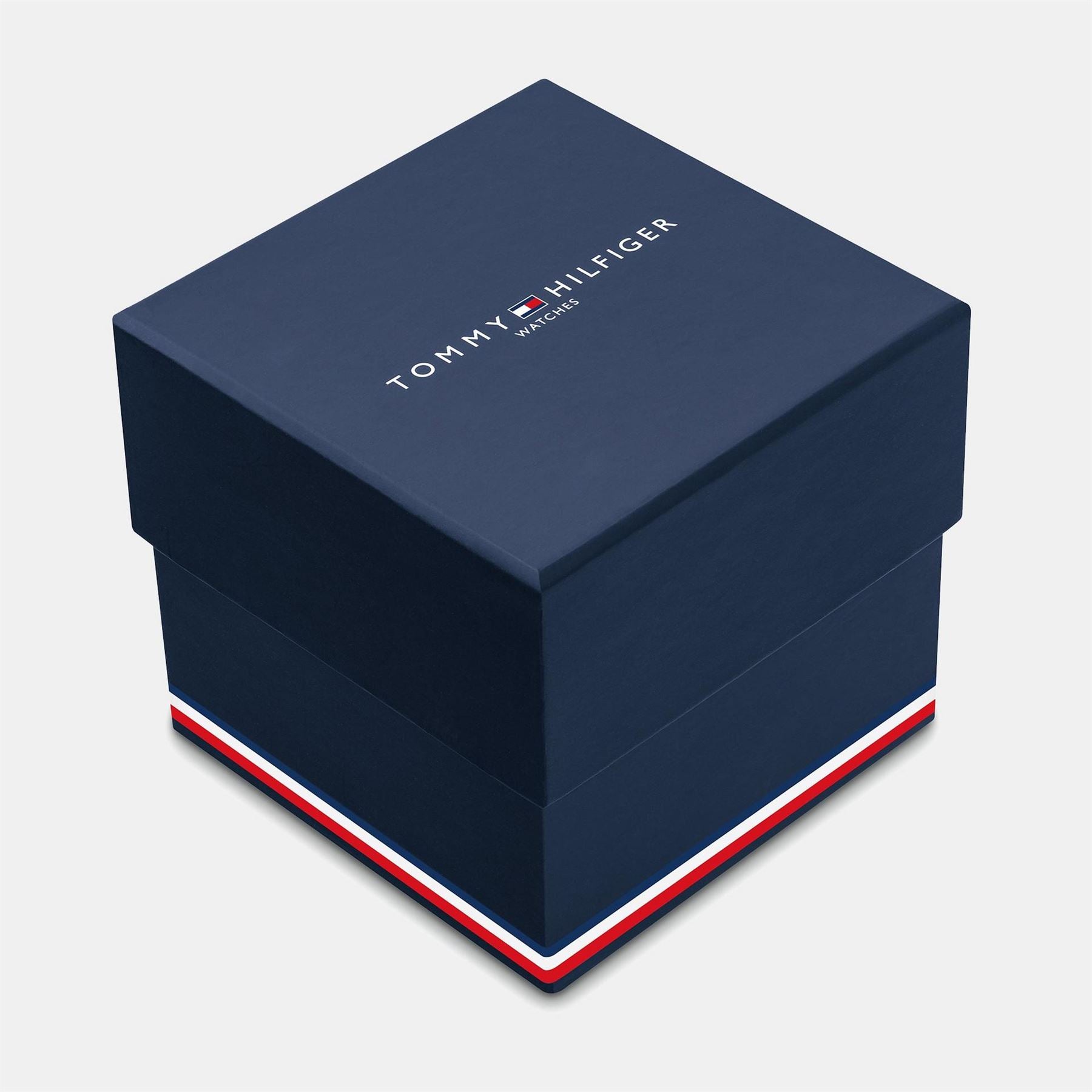 Tommy Hilfiger Hilfiger Mens Regatta Silicone Watch