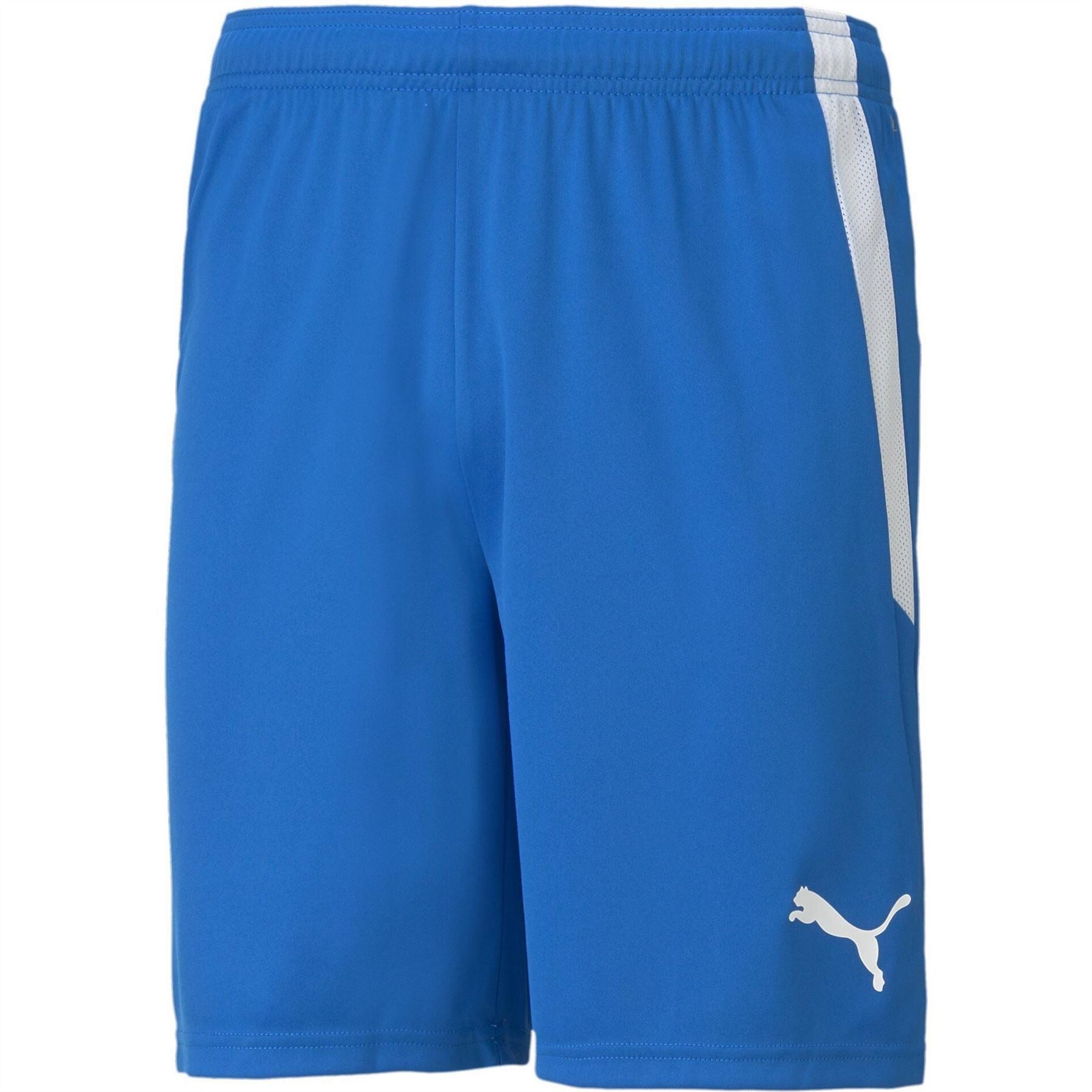 Puma Mens Teamliga Shorts Football Shorts
