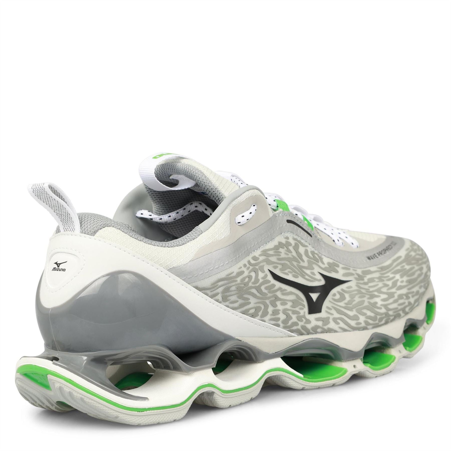 Mizuno Wave Prophecy