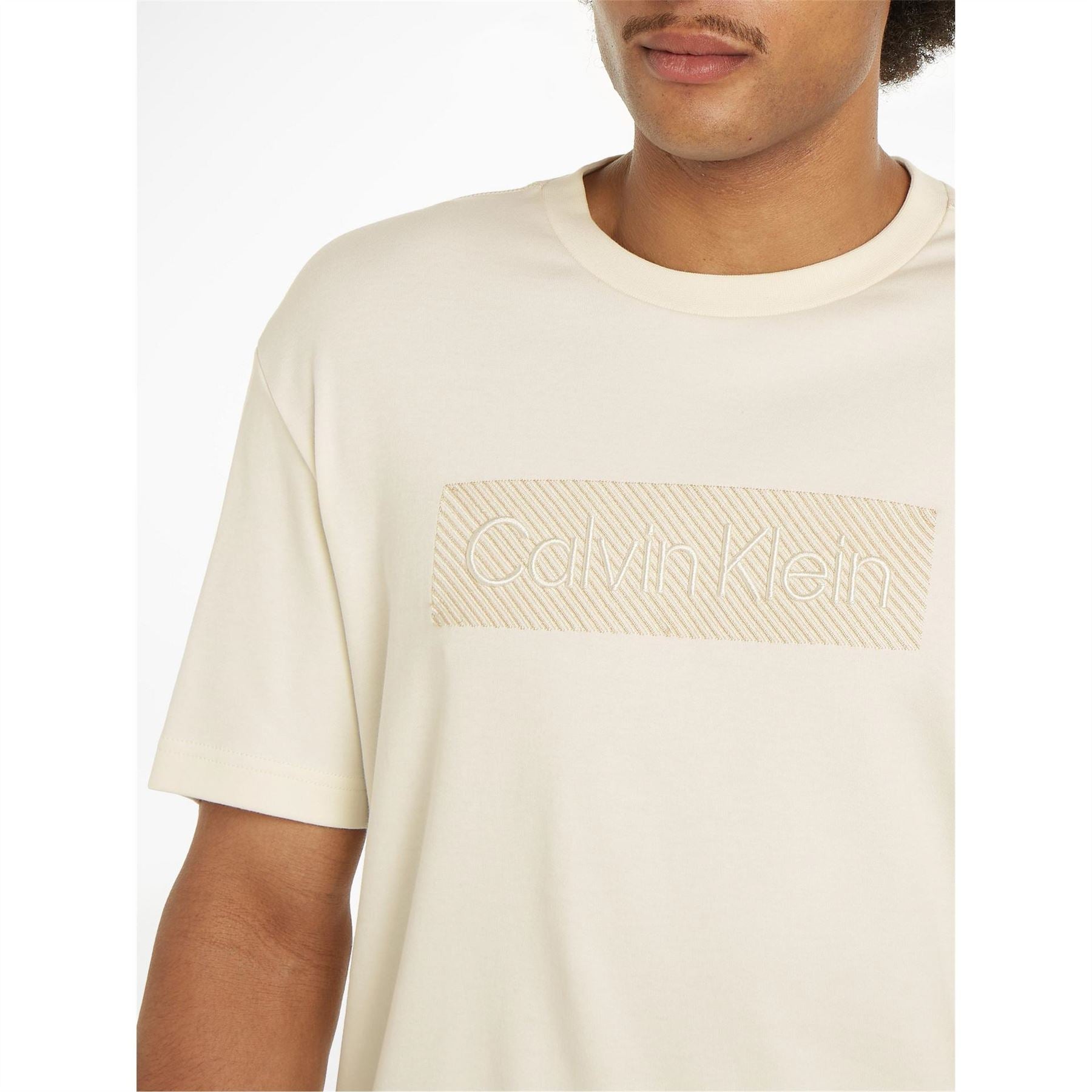 Calvin Klein Logo Embroidered Regular Fit T-Shirt