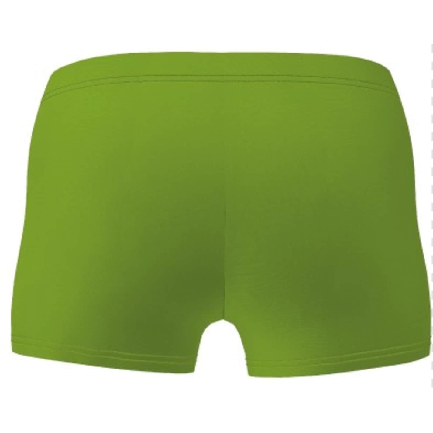 Arena Boys Swim Shorts