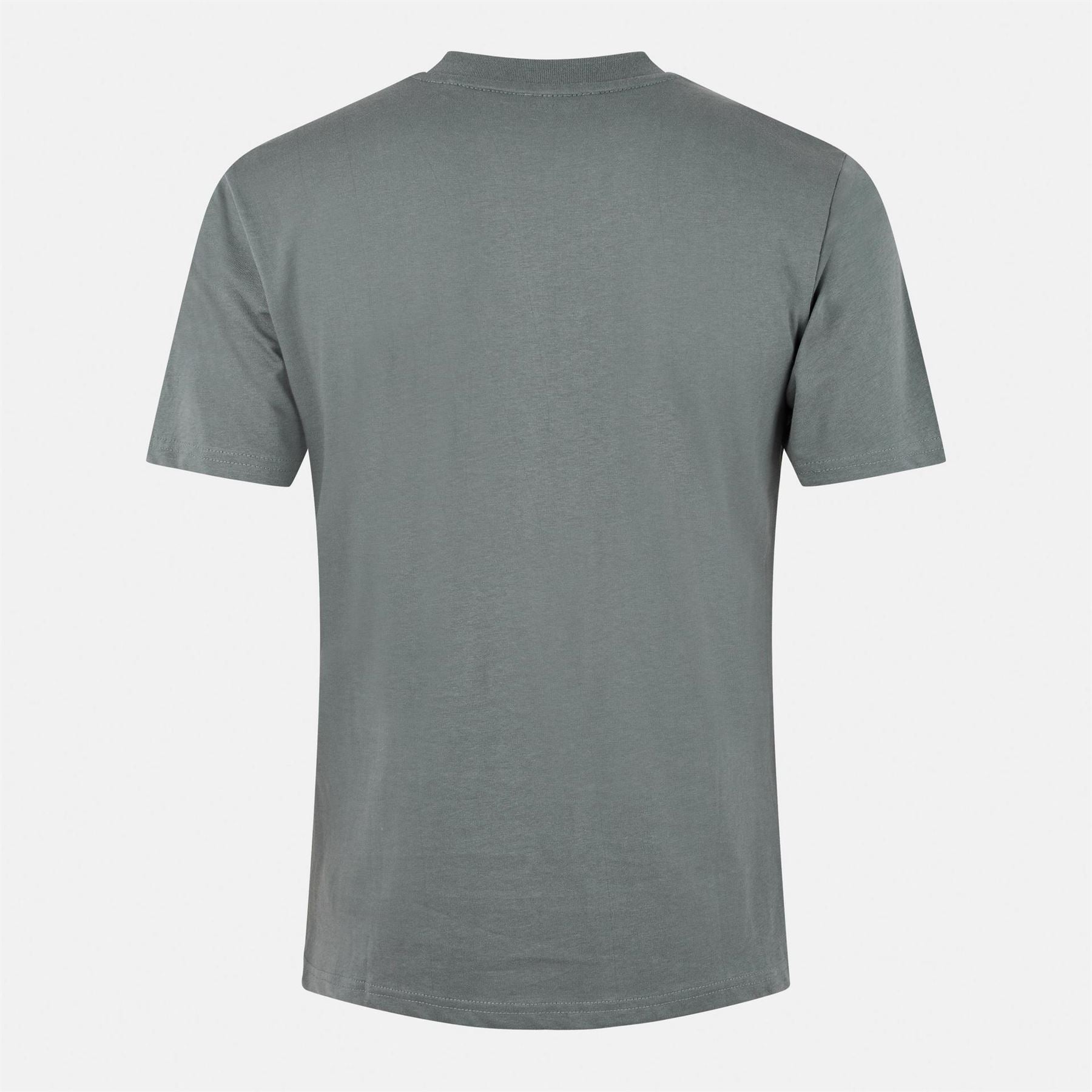 Threadbare Regular Fit T-Shirt