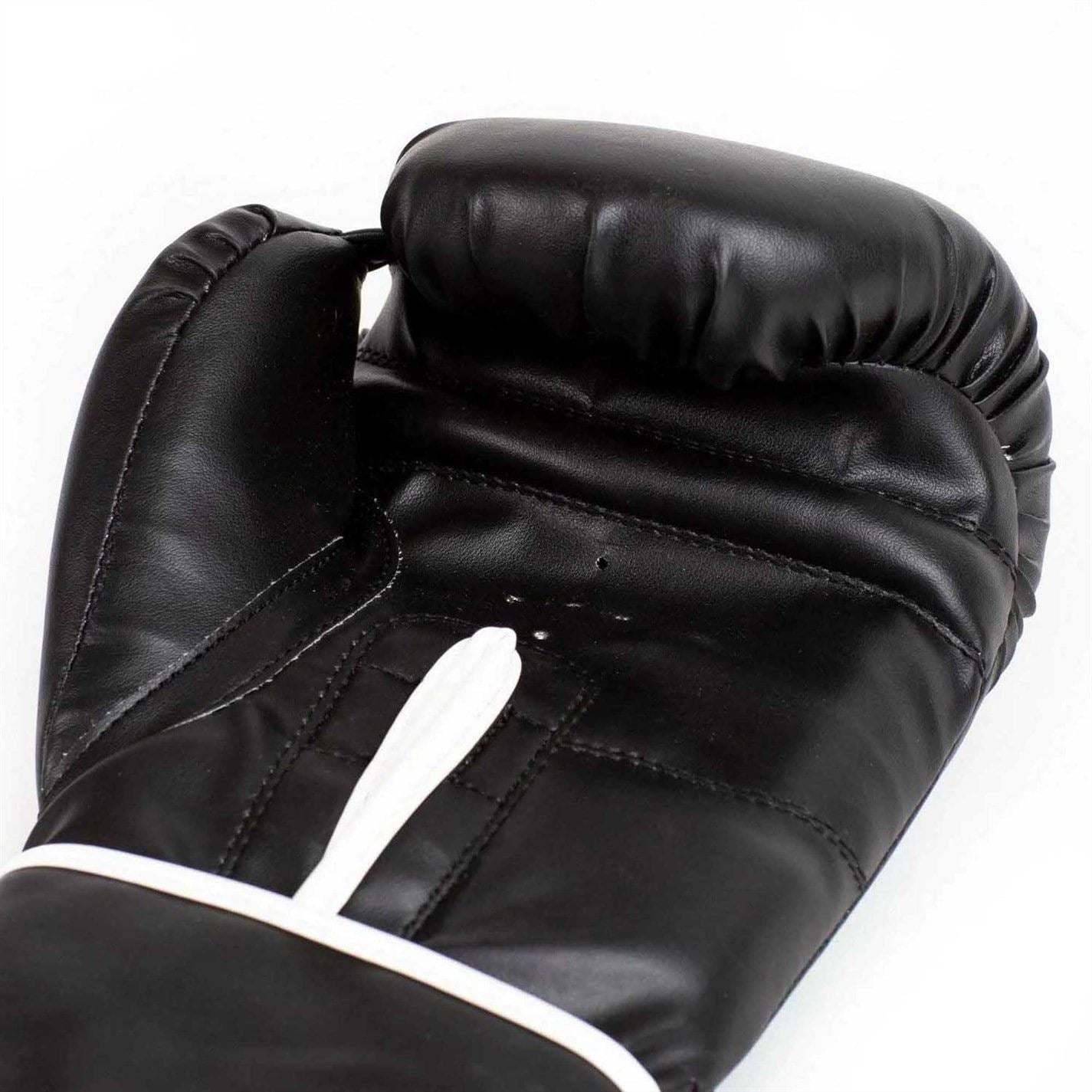 Everlast Core2 Boxing Glove