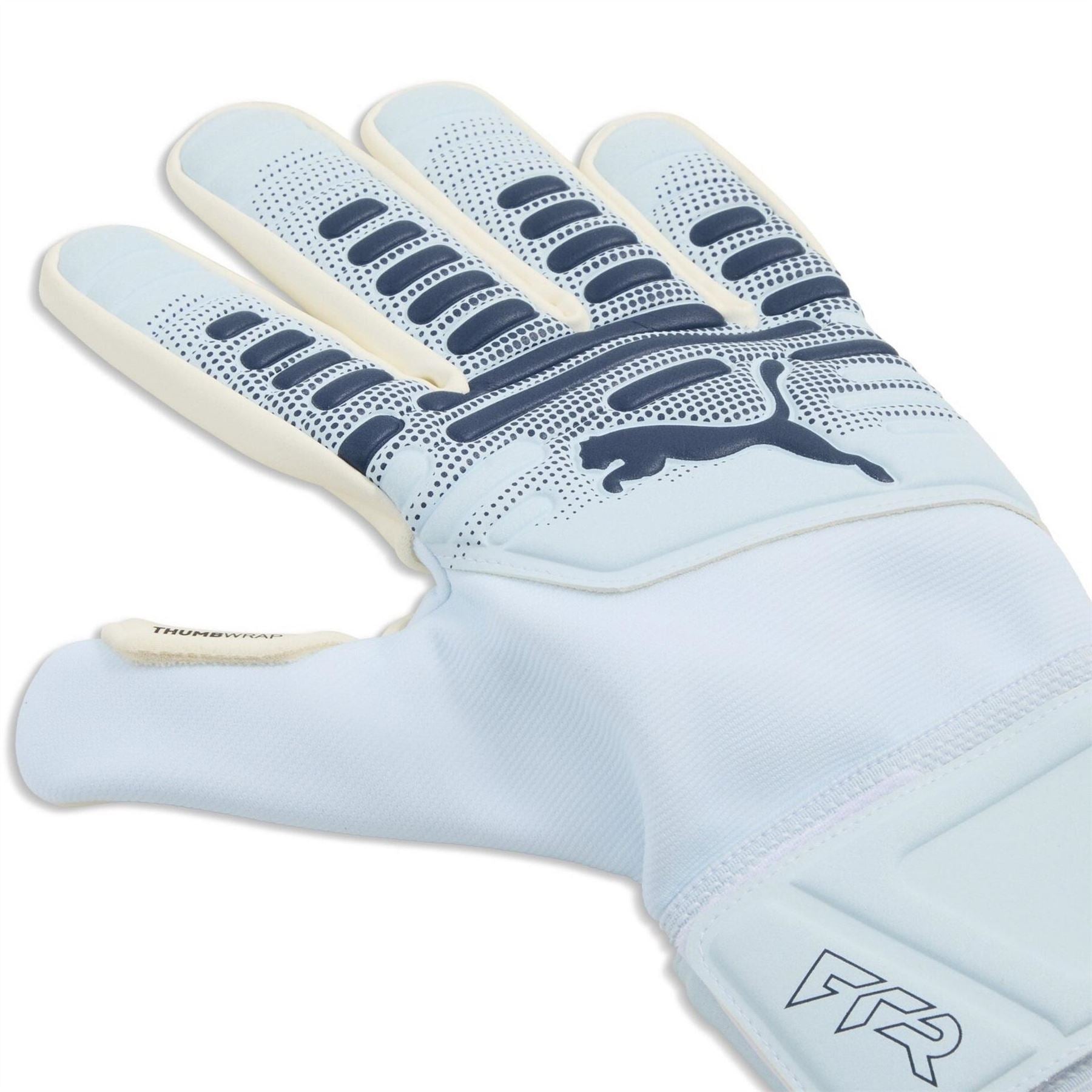 Puma Future Match Goalkeeper Glove Juniors
