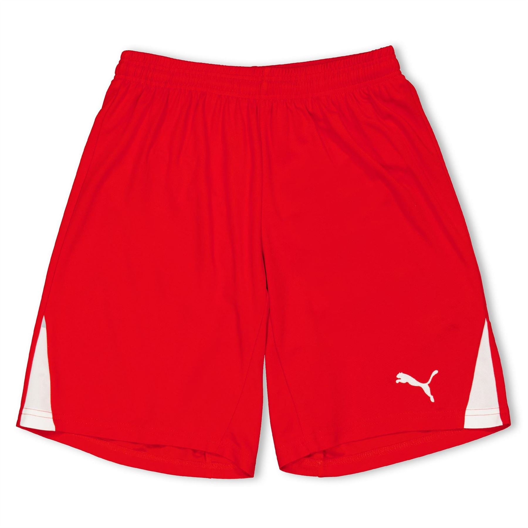 Puma Fb Team Shorts With Brief Juniors
