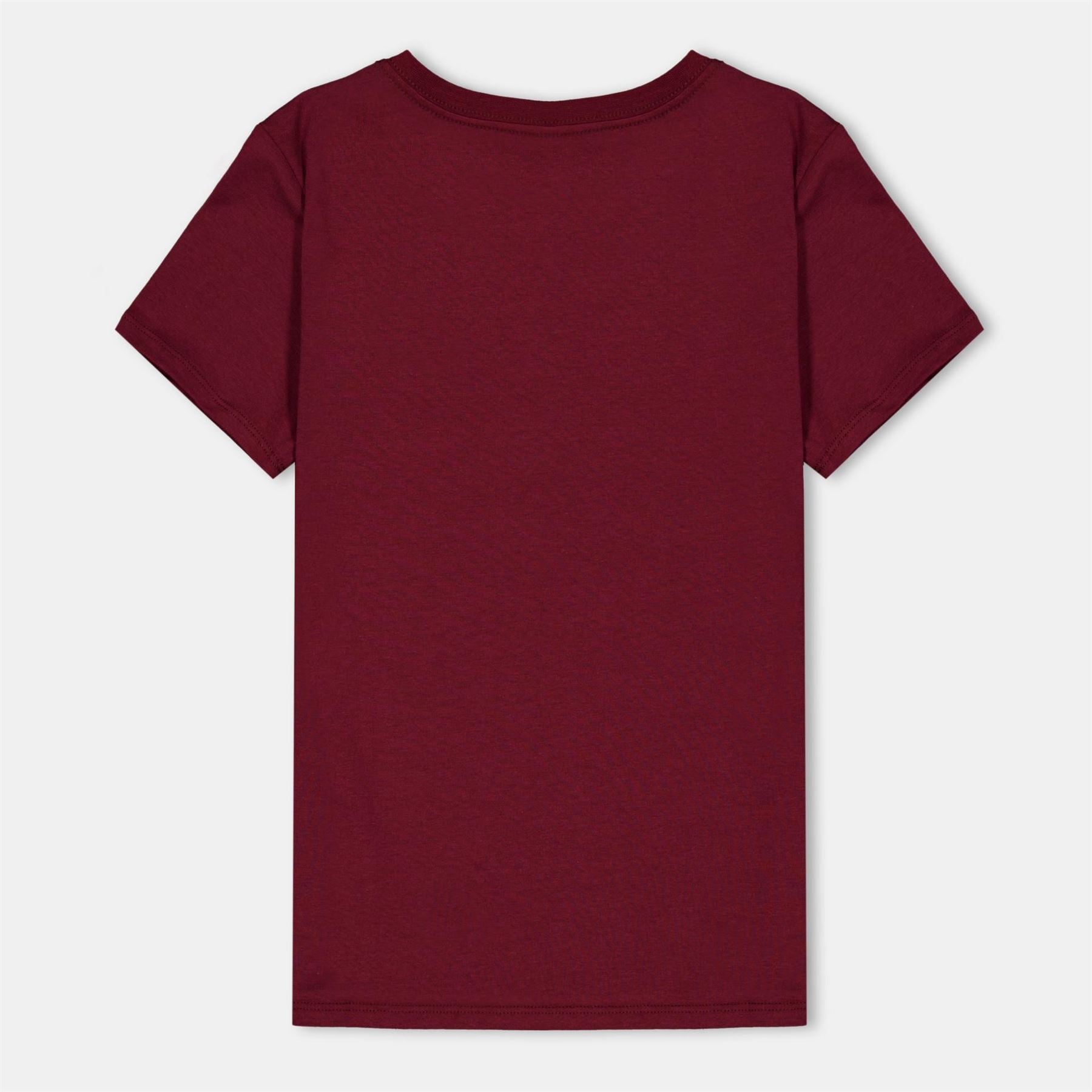 Levis Logo Print Regular Fit Crew Neck T-Shirt