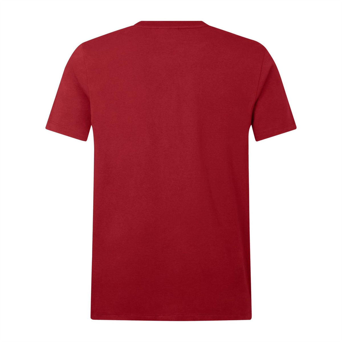 Canterbury British And Irish Lions T-Shirt 2024 Adults