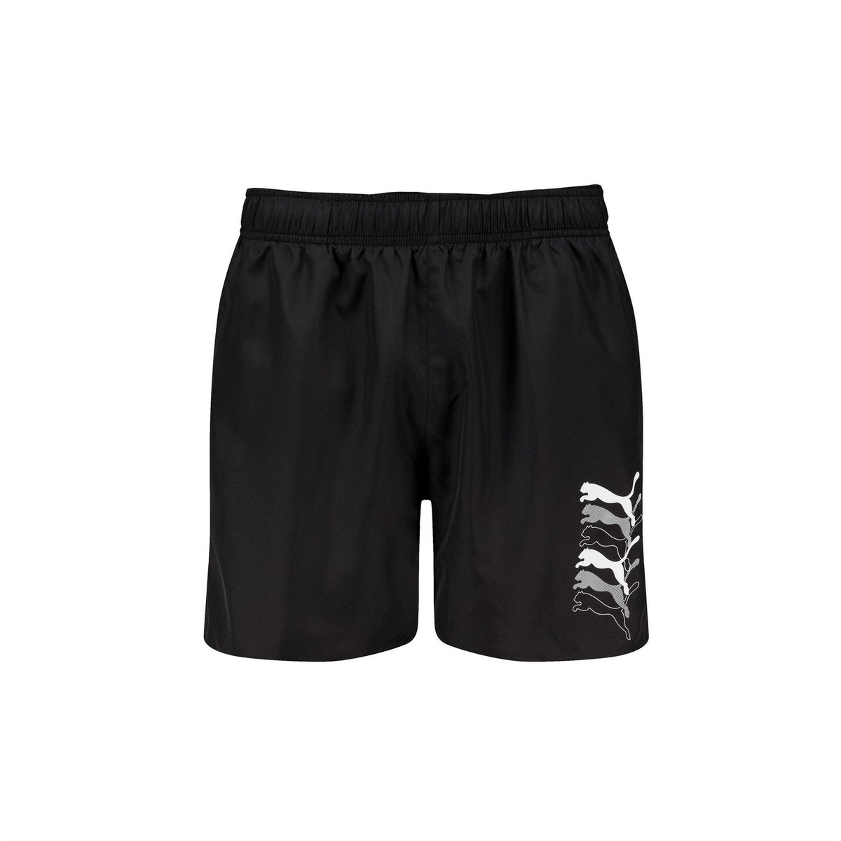 Puma Swim Men Cats M