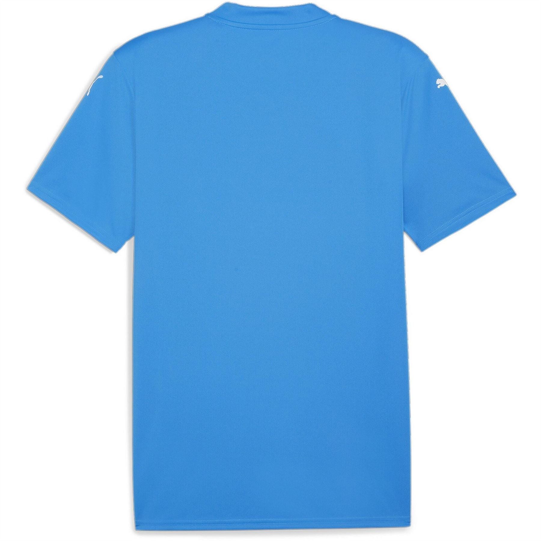 Puma Mens Teamglory Jersey T-Shirt