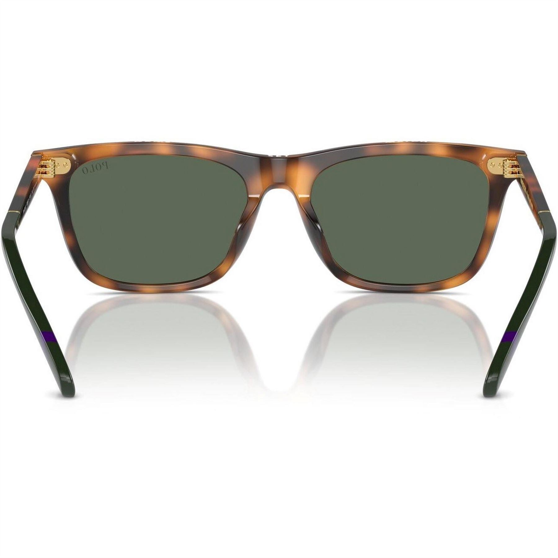 Polo Ralph Lauren 0ph4205u Wayfarer Sunglasses