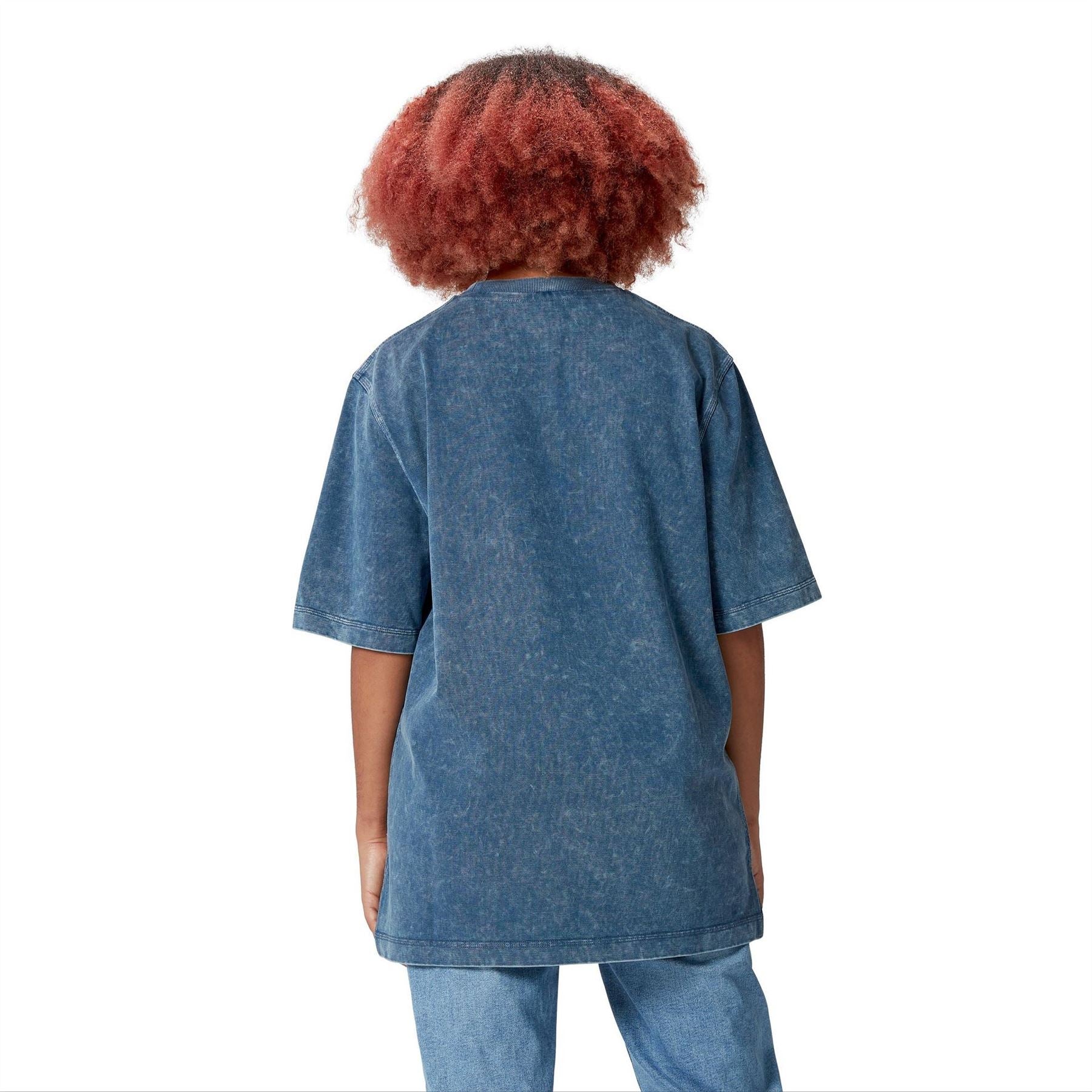 Canterbury Mens British  And  Irish Lions Heritage T-Shirt 2025