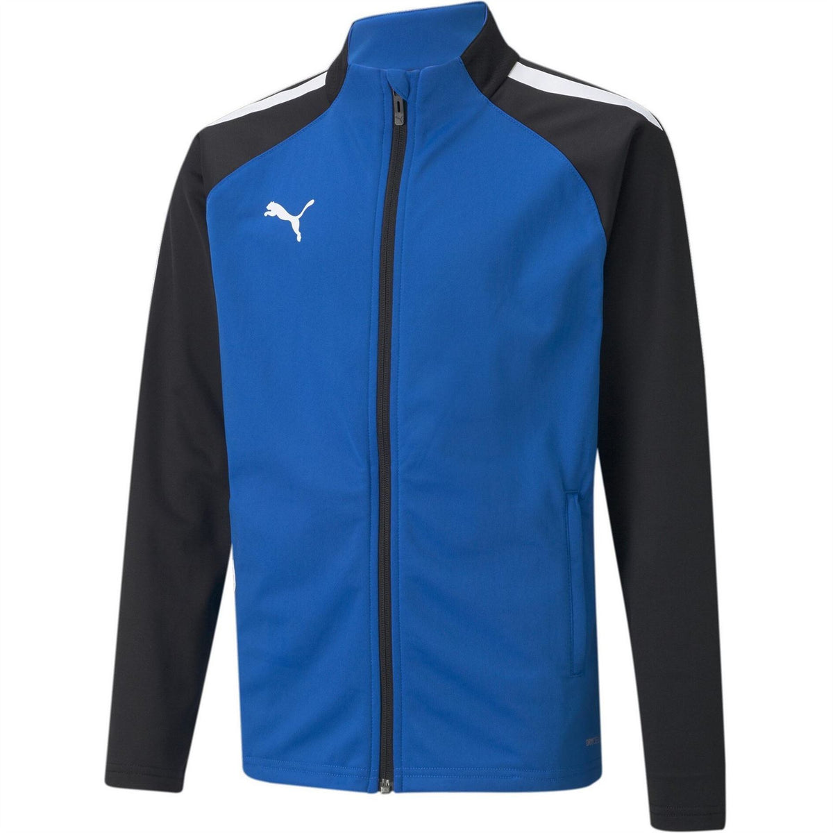 Puma Teamliga Training Jacket Jr Tracksuit Top Unisex Kids