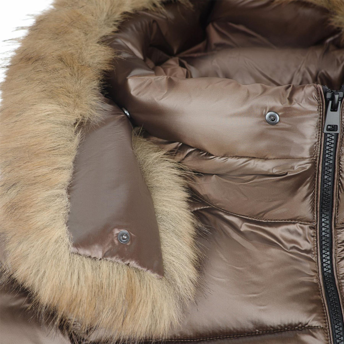 Cape Heights Boston Jacket Ld64