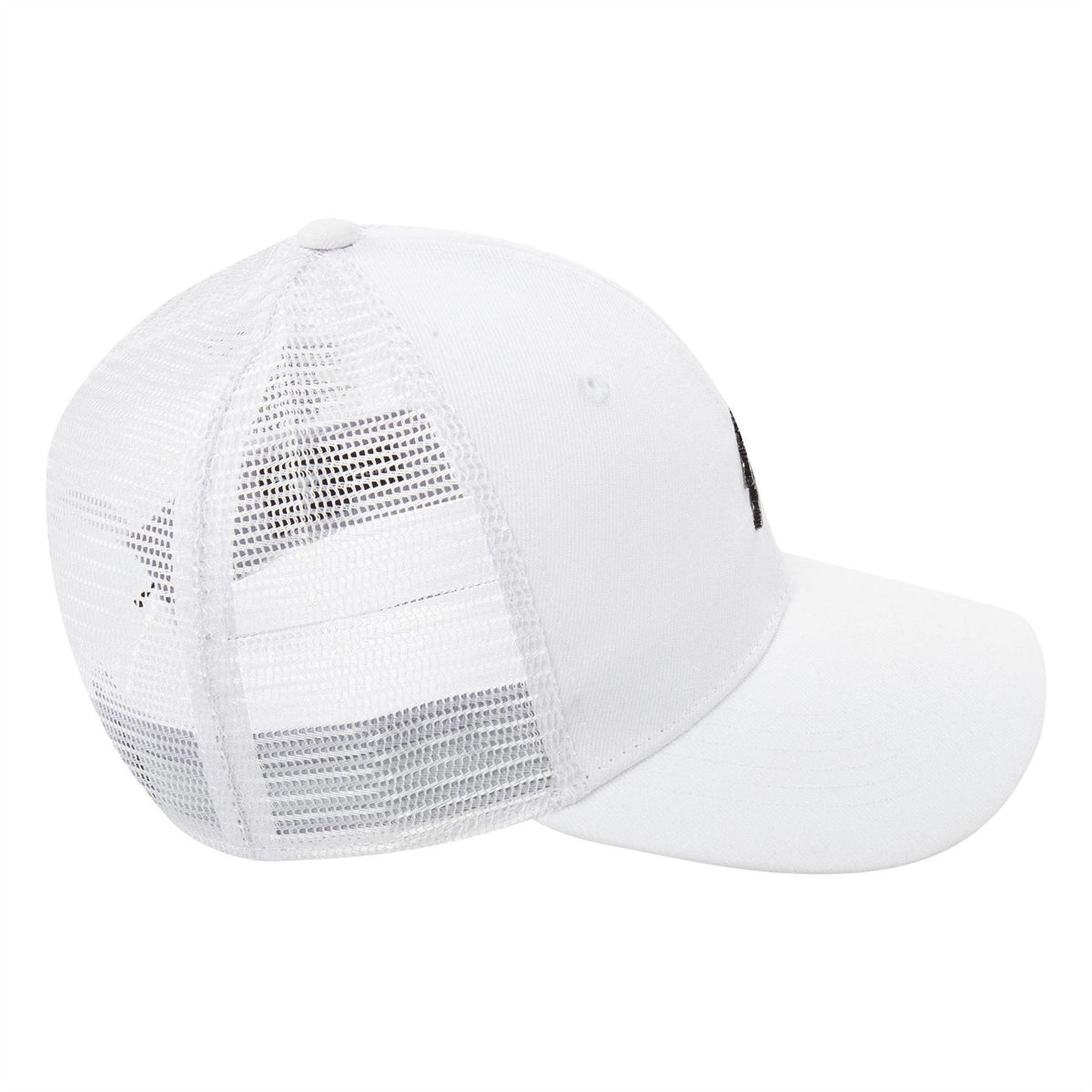 Air Jordan Flat Peak Cap