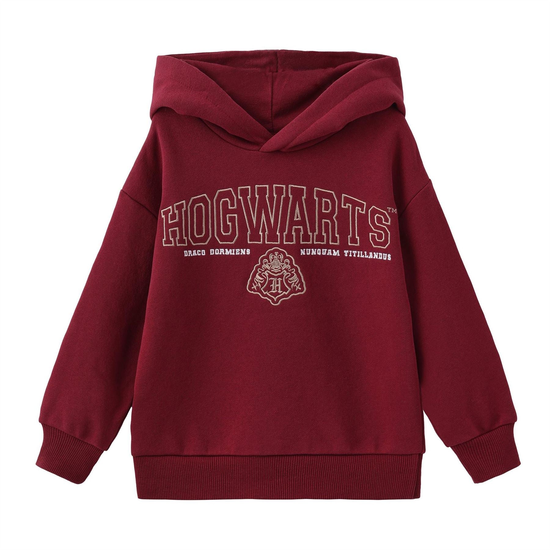 Character Fleece Lined Hoodie For Boys