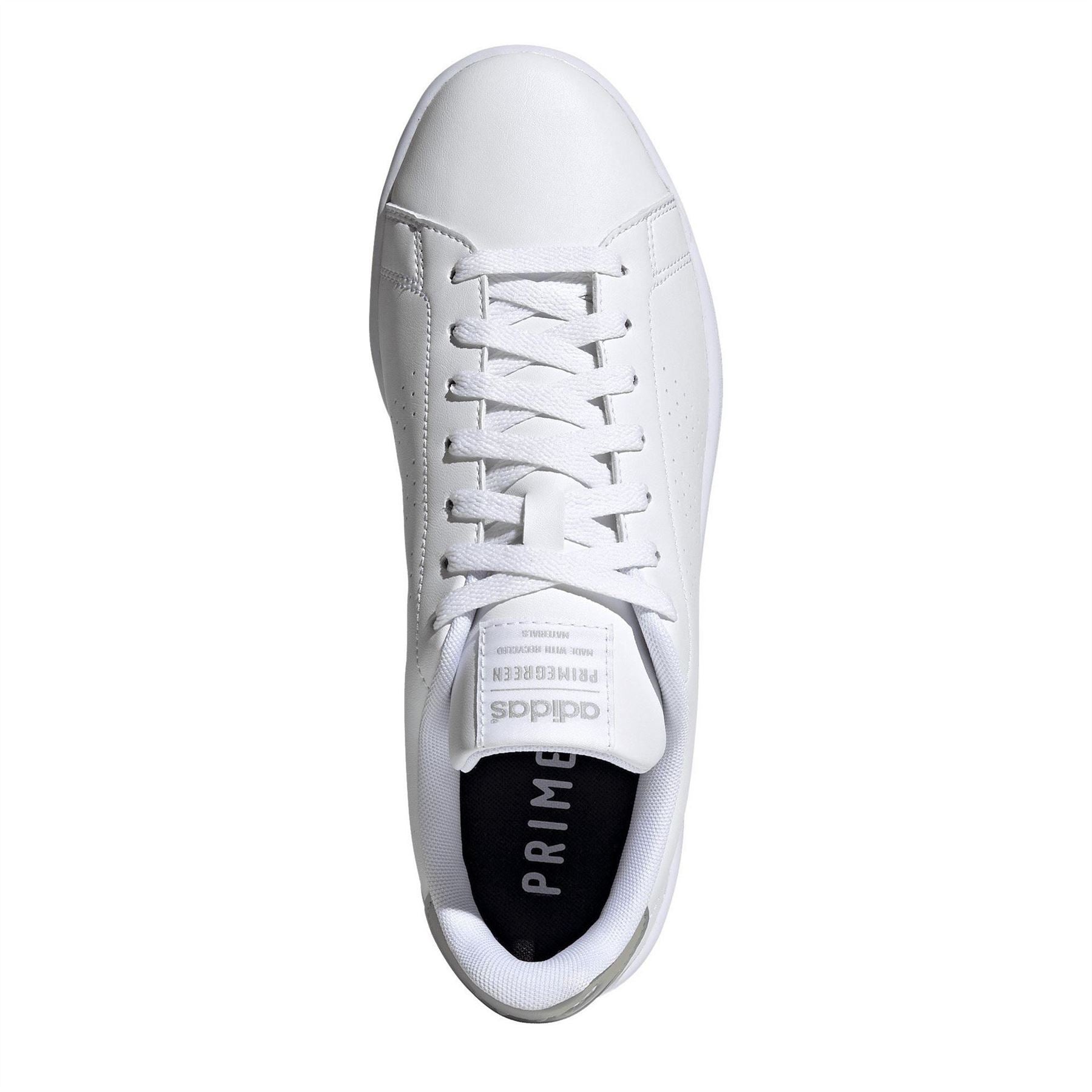 adidas Advantage Low Top Trainers