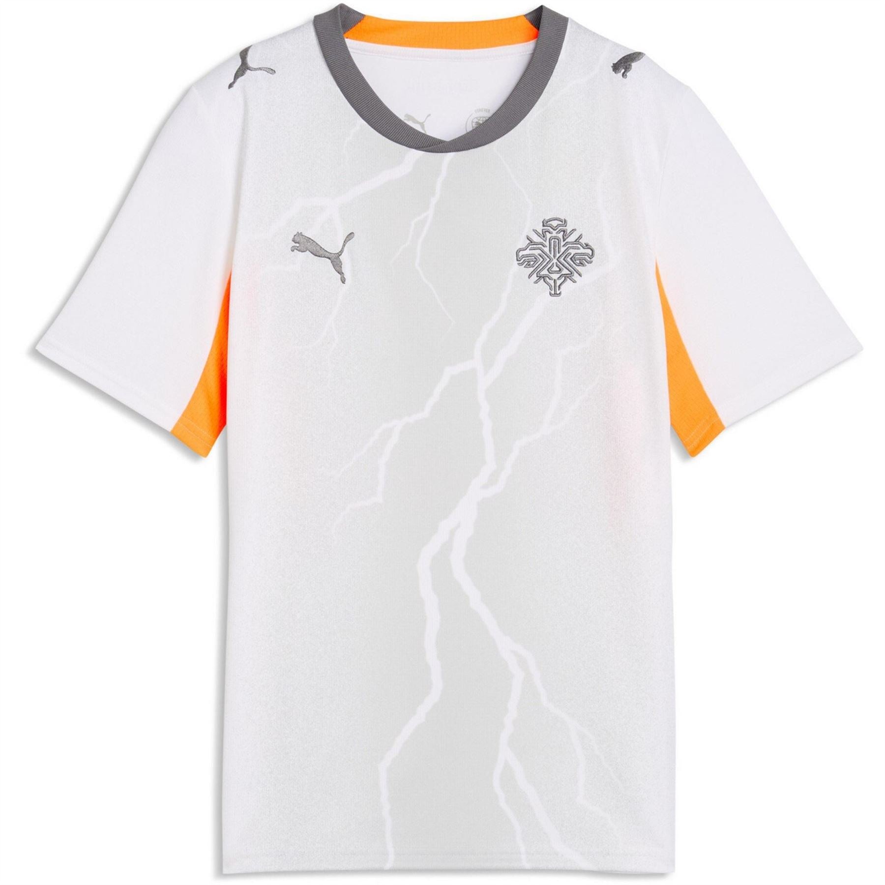 Puma Iceland 2026 Football Shirt