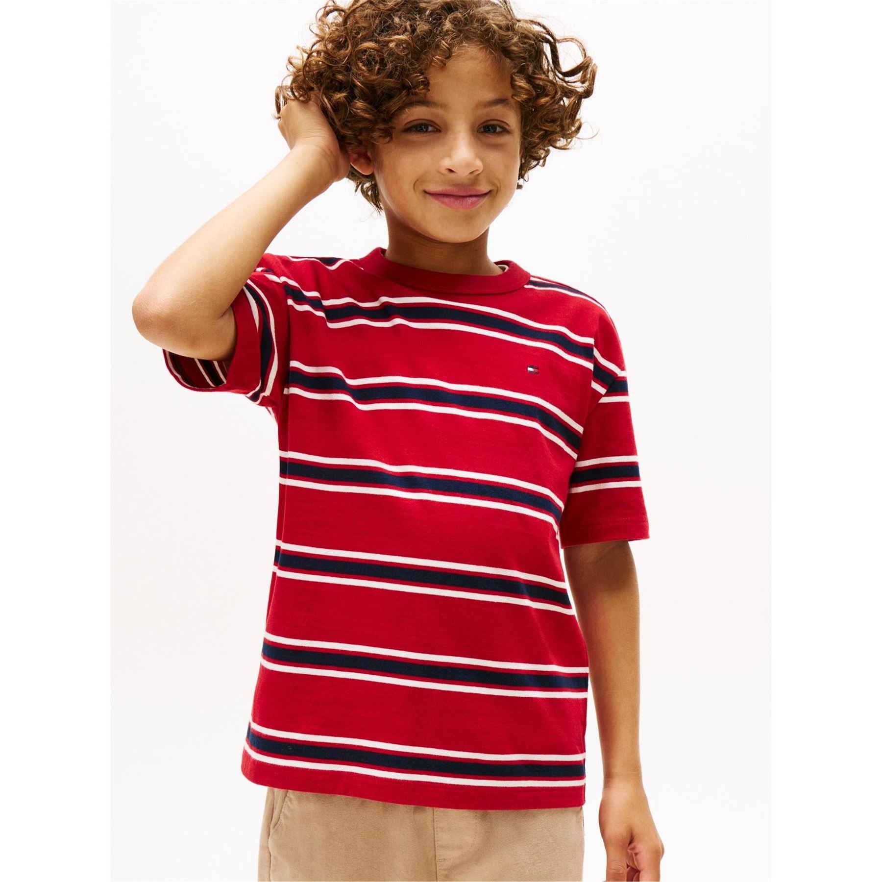 Tommy Hilfiger Stripe Regular Fit T-Shirt