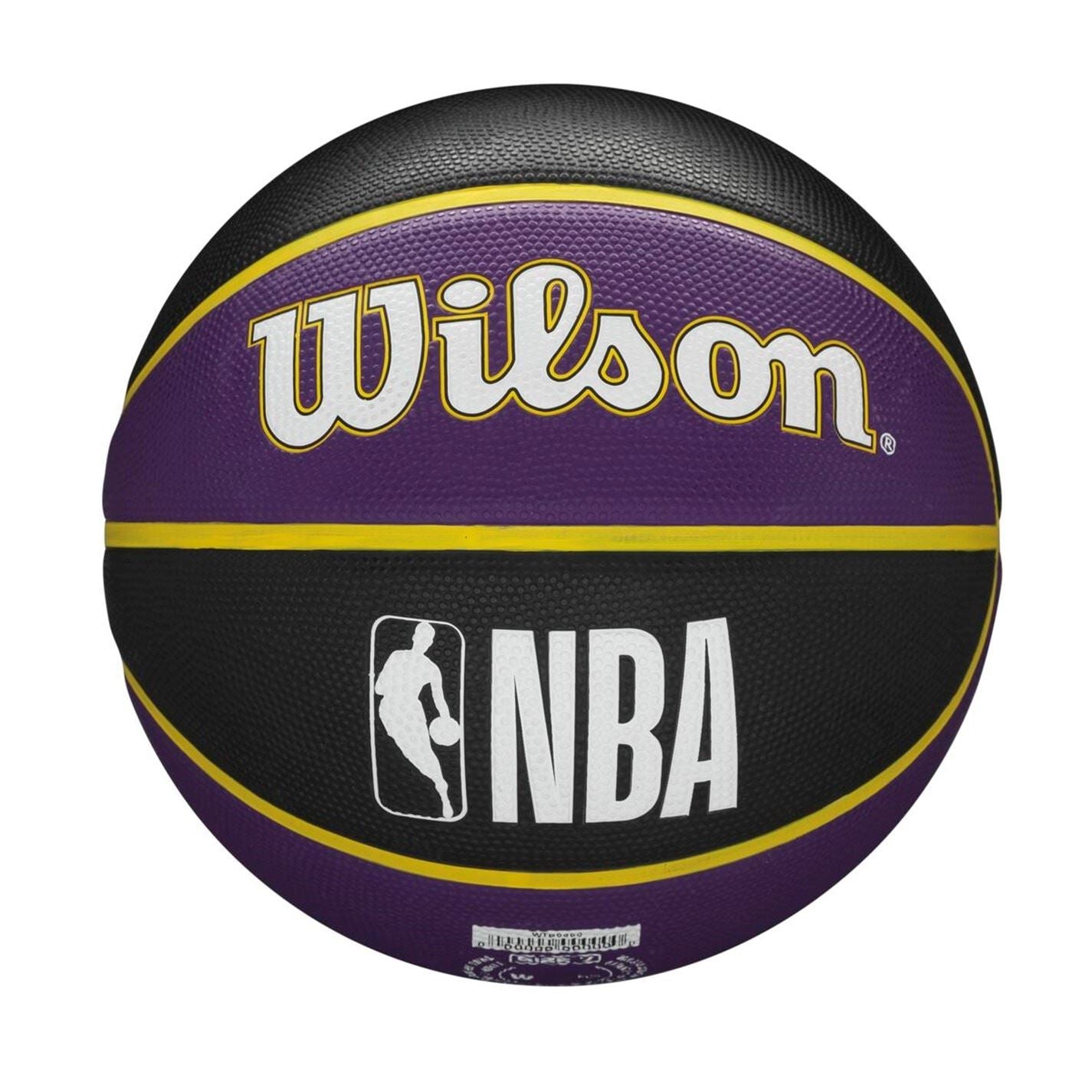 Wilson Team Mini Bball