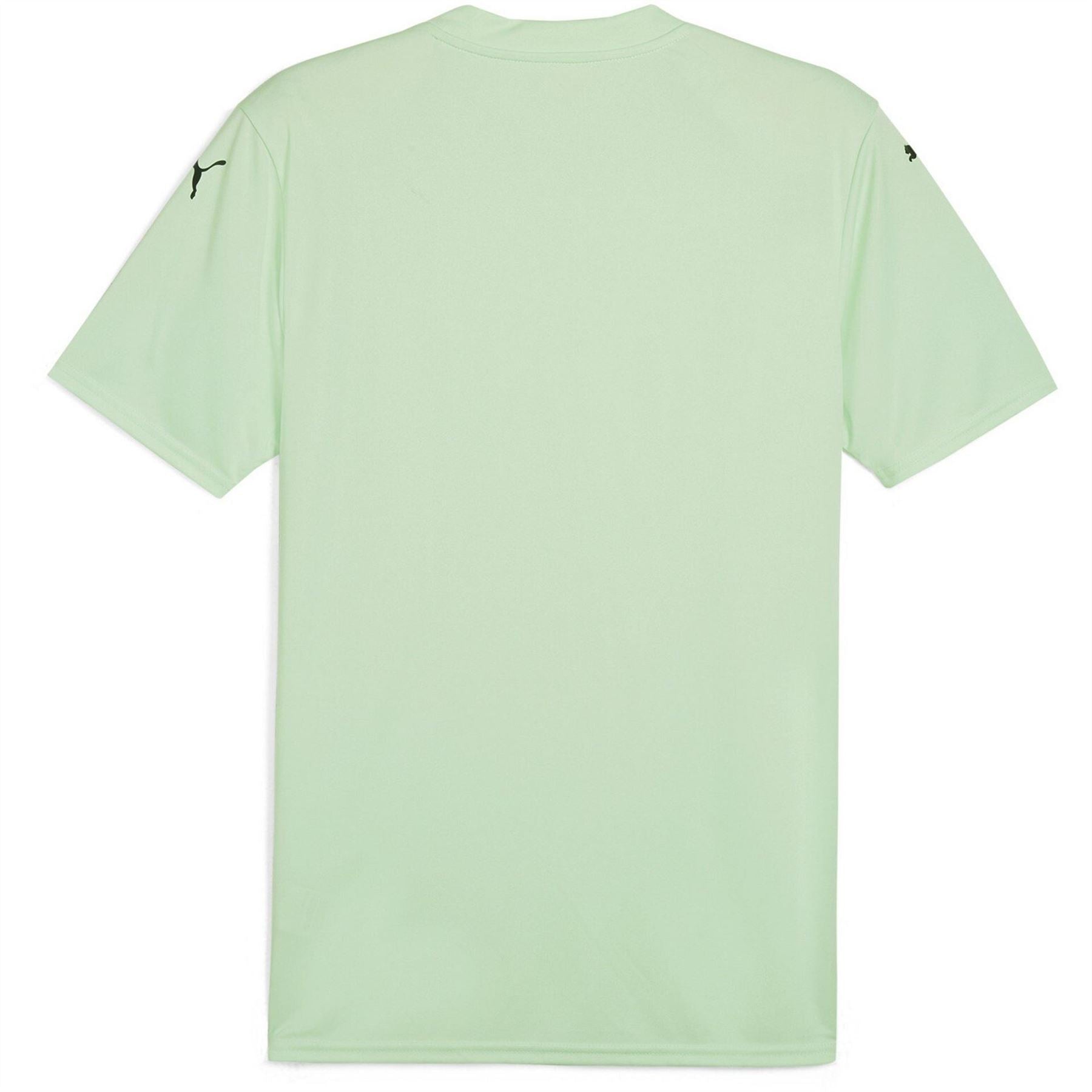 Puma Mens Teamglory Jersey T-Shirt