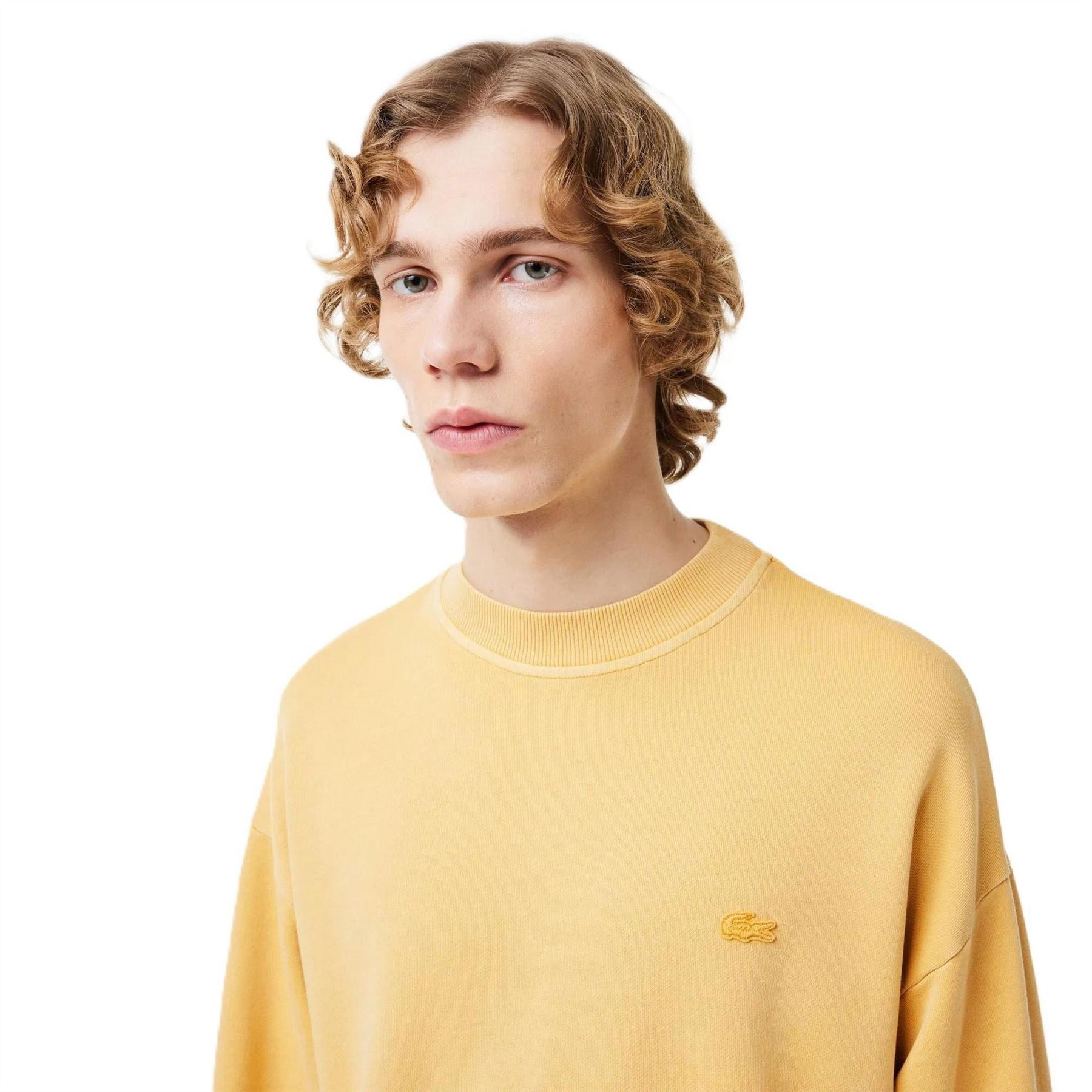 Lacoste Embroidered Sweatshirt