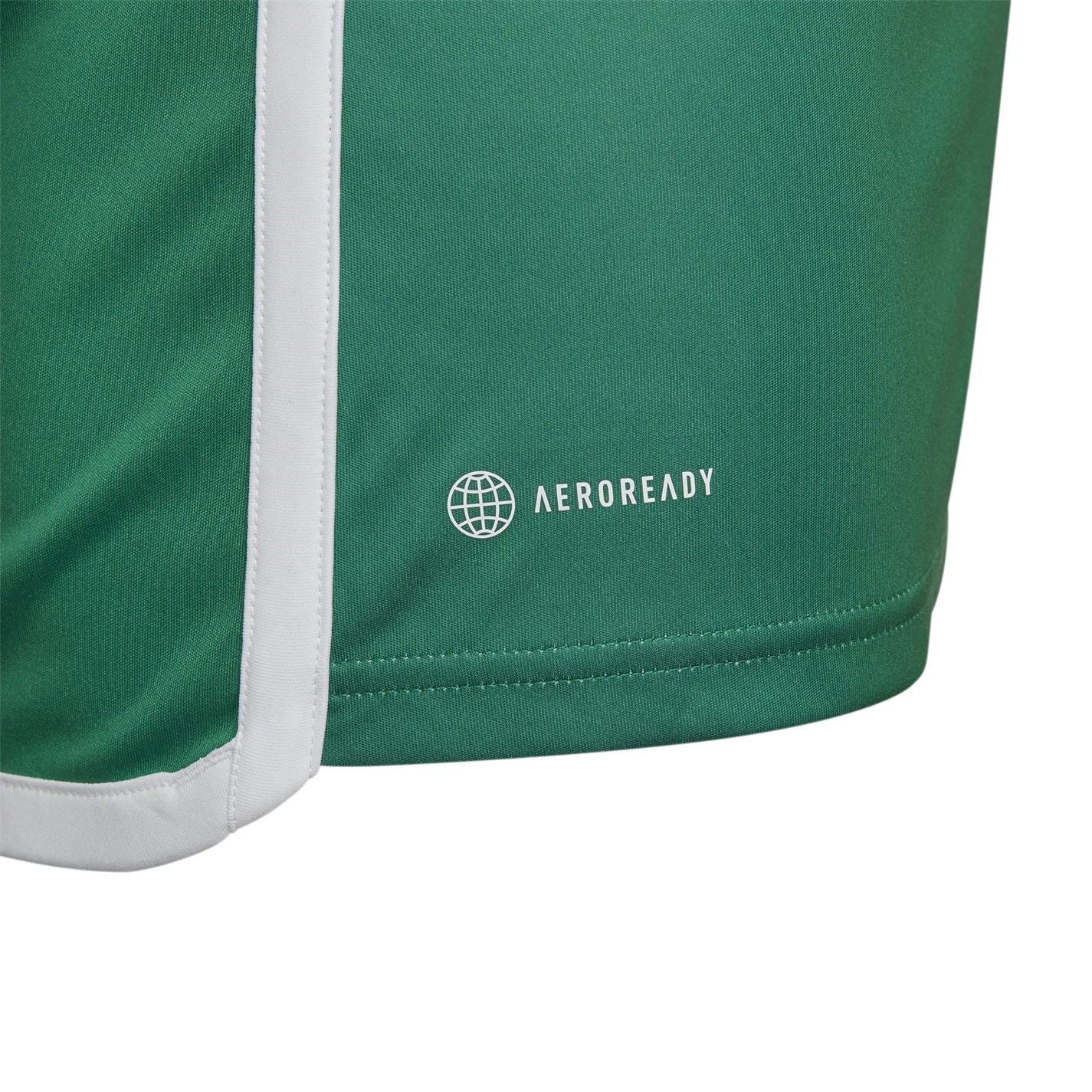 adidas Algeria Away Kit 2022 Junior