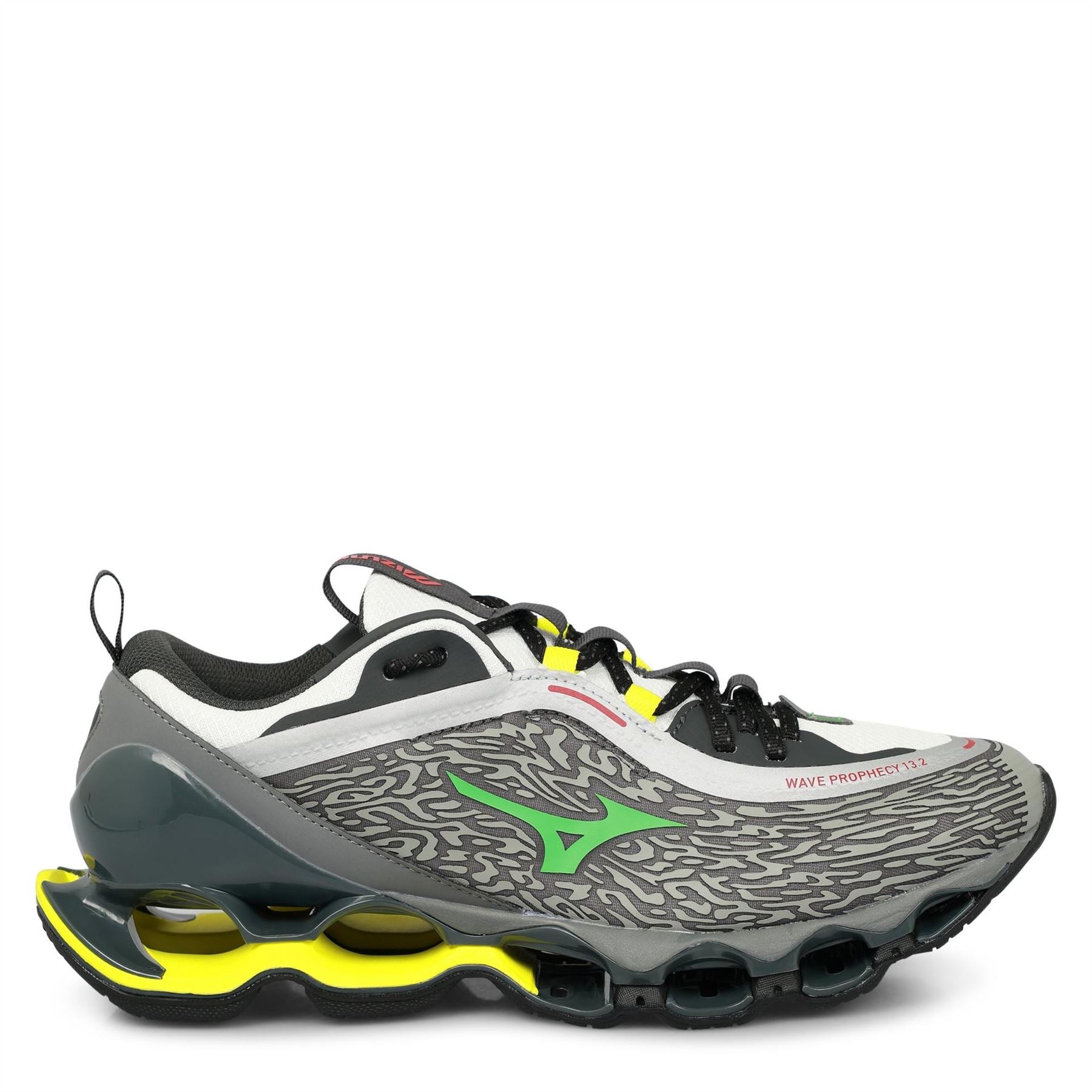Mizuno Wave Prophecy