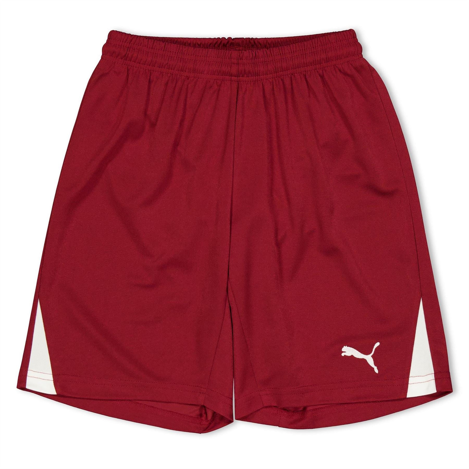 Puma Fb Team Shorts With Brief Juniors