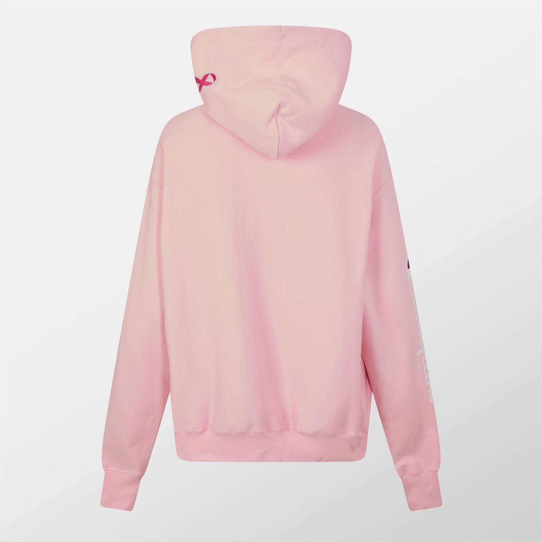 Champion Awarens Regular Fit Hooded Sweatshirt