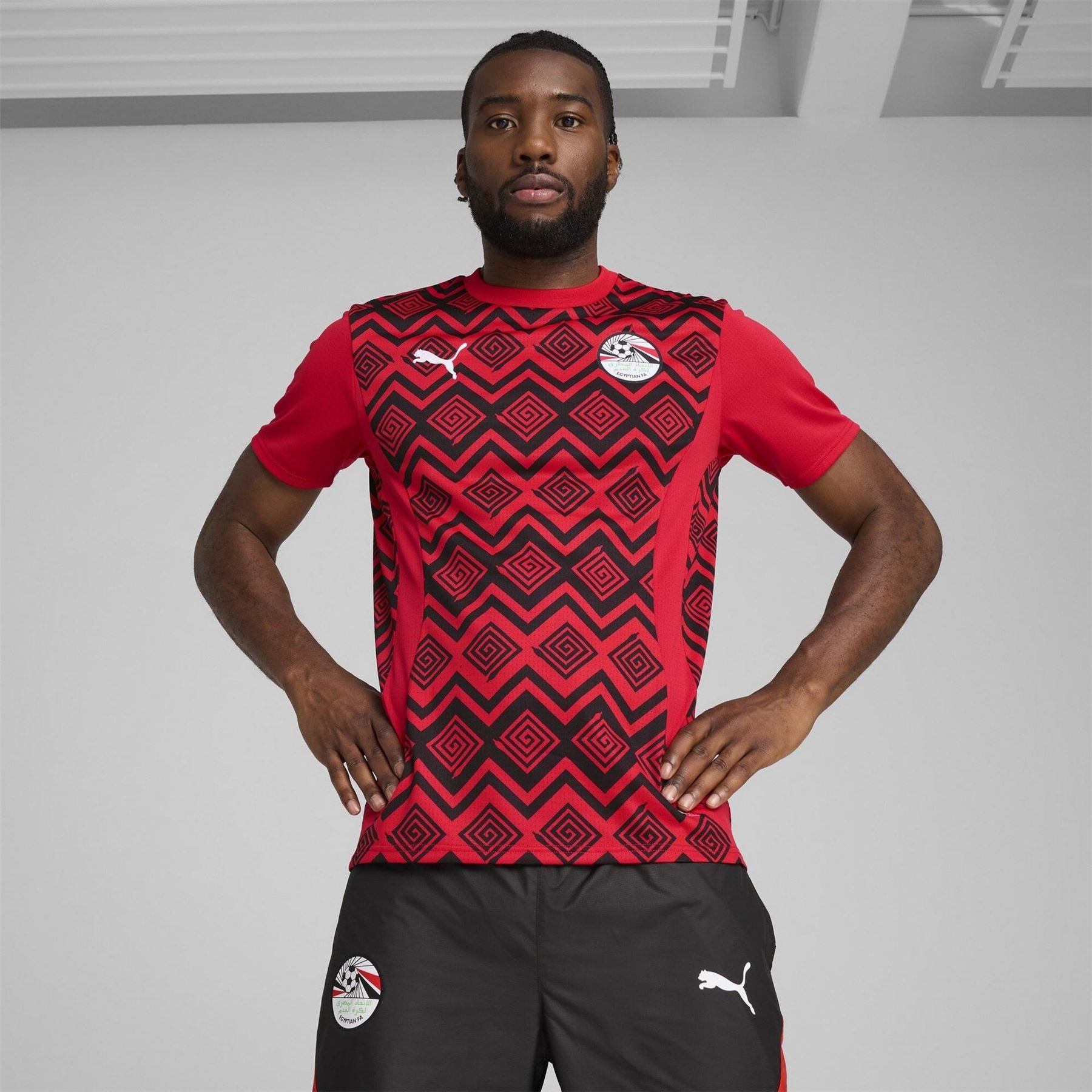 Puma Mens Prematch Ss Jersey Football Shirt