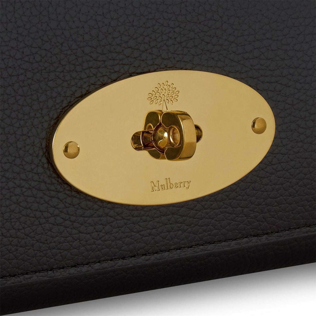 Mulberry Chain Wallet