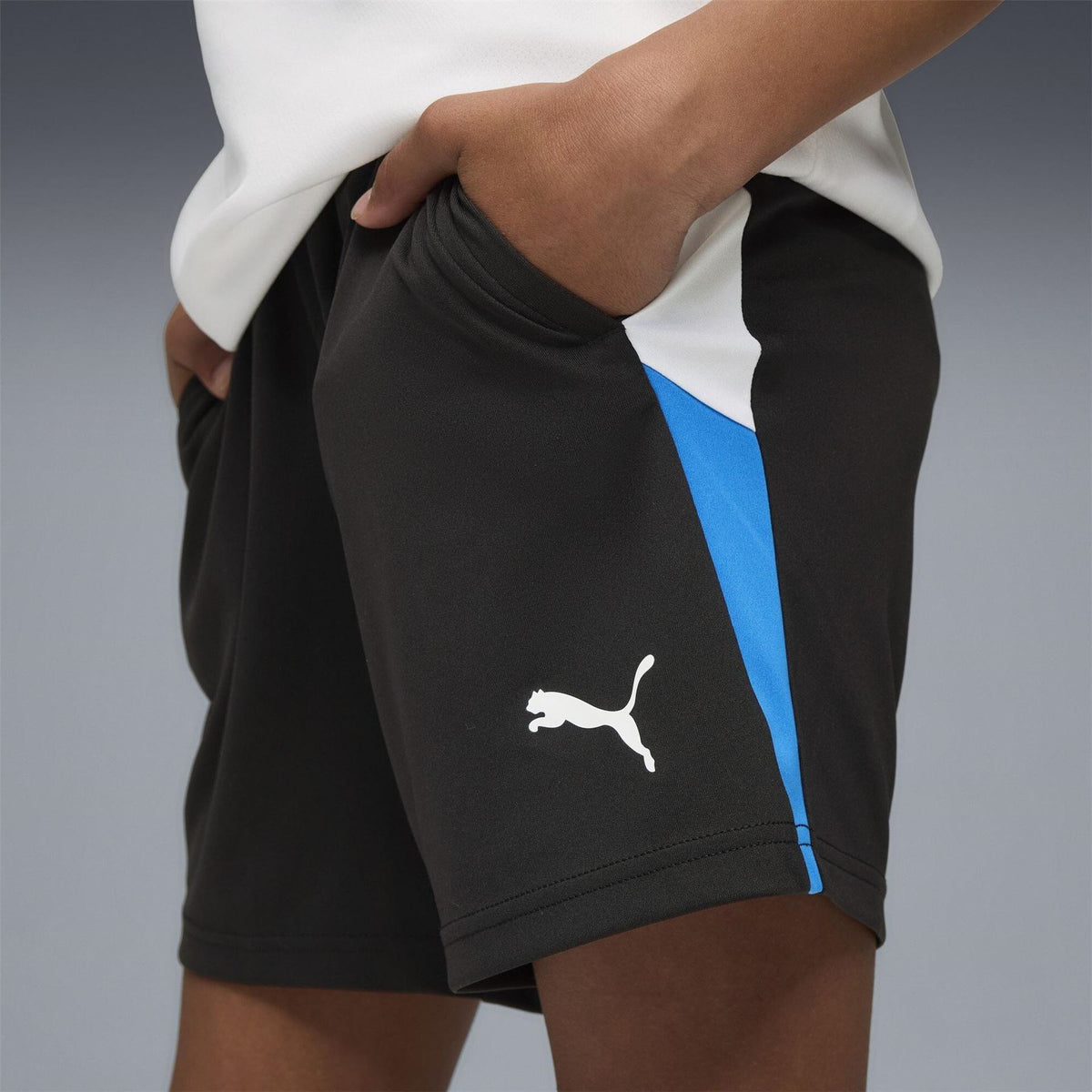 Puma Individualliga Training Football Shorts