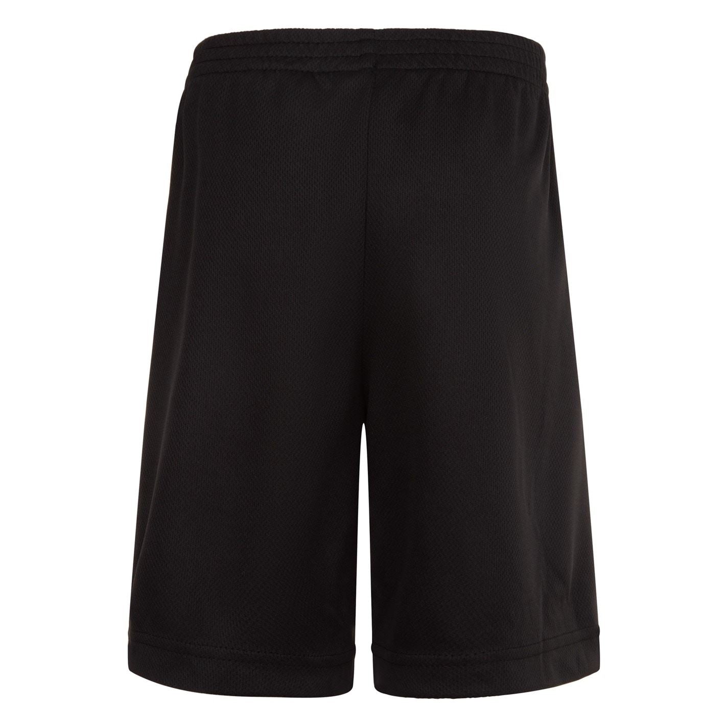 Air Jordan Junior Mesh Basketball Shorts