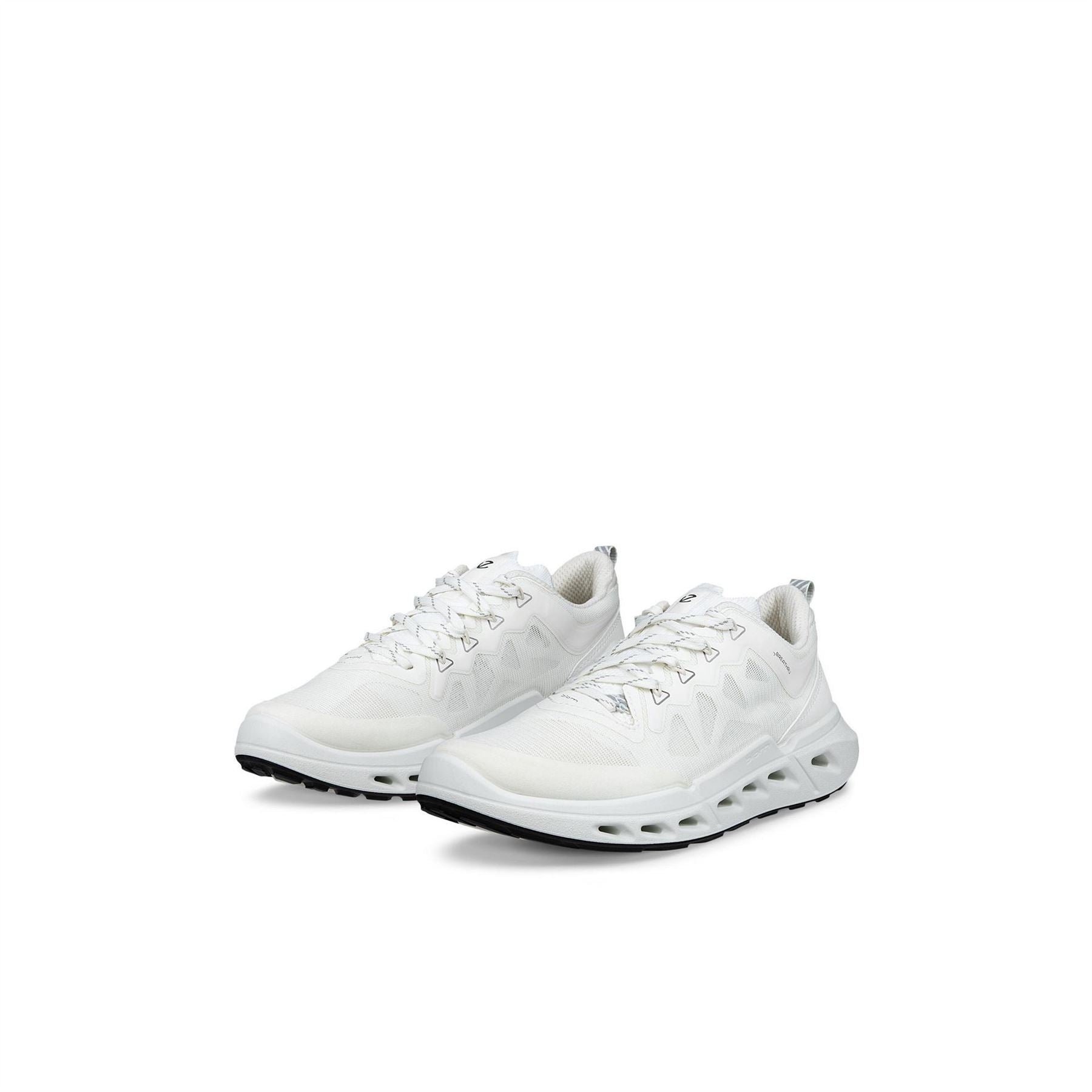 Ecco Biom 720 Ld62