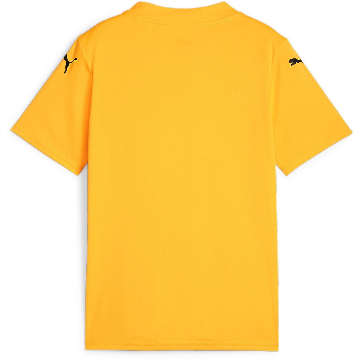 Puma Teamglory Jersey Jr T-Shirt Unisex Kids