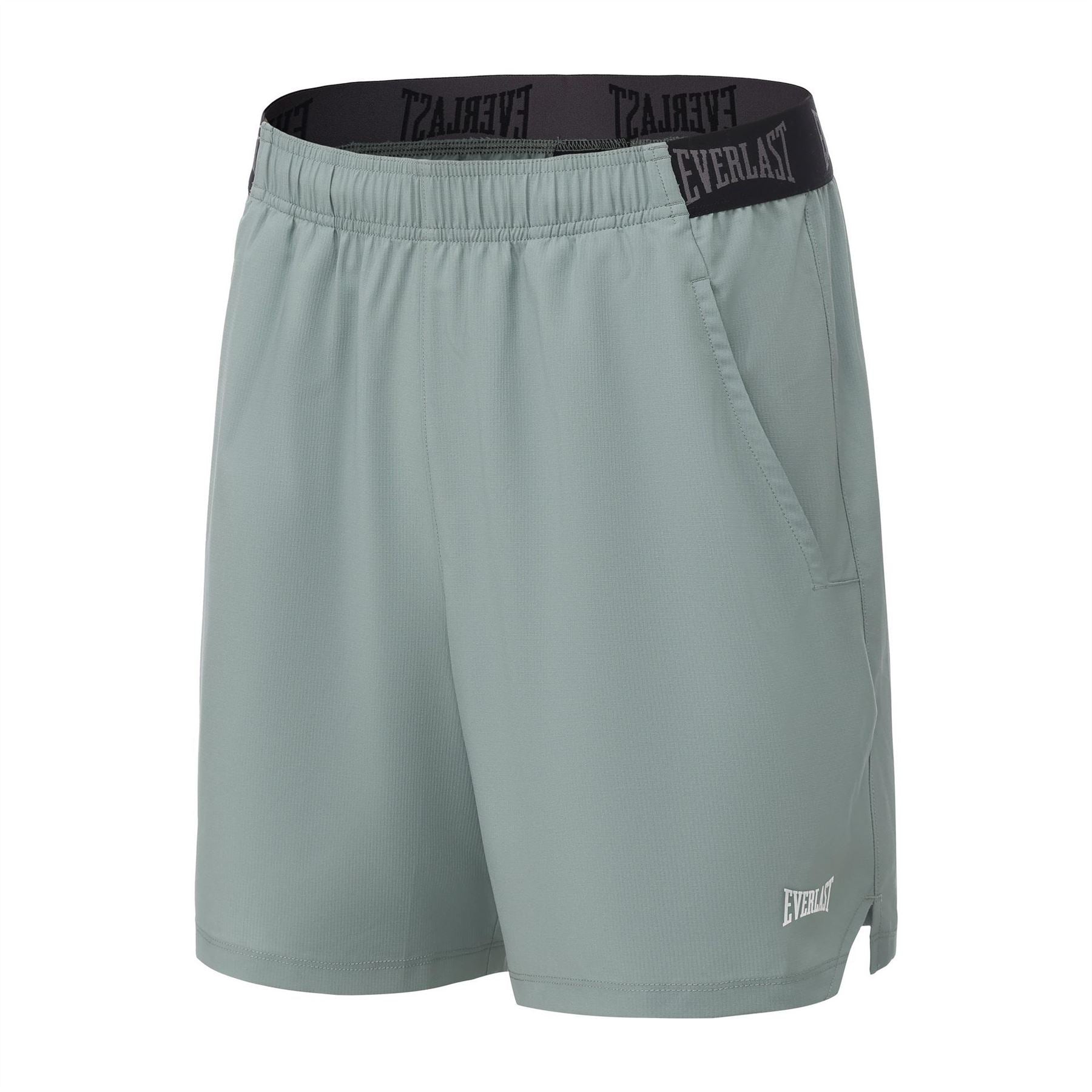 Everlast Flx Boxing Lettering Shorts